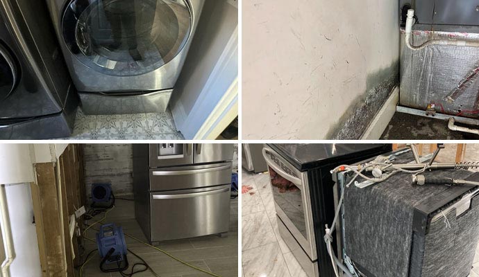 Appliance leaking water