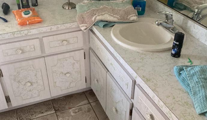 Bathroom sink overflow