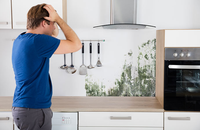 Mold in Residential Spaces