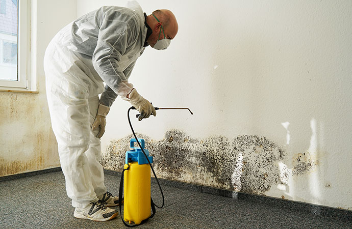 Mold Remediation Process