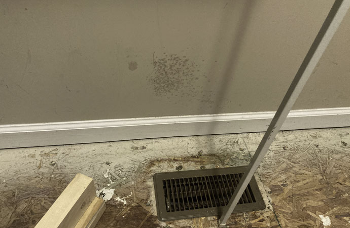 The Mold Removal Professionals at Kingsley Water Damage & Fire Cleanup