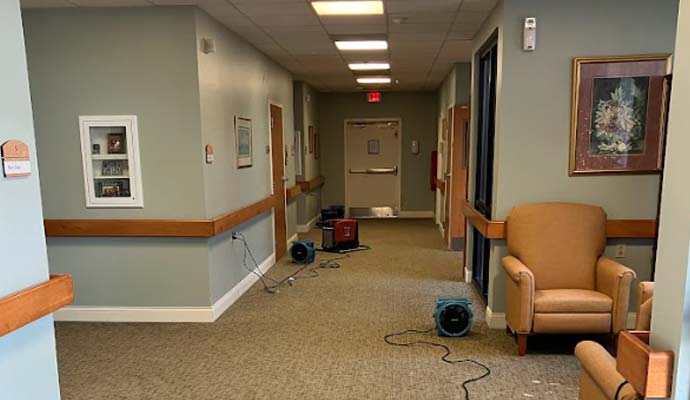 Water Damage and Mold