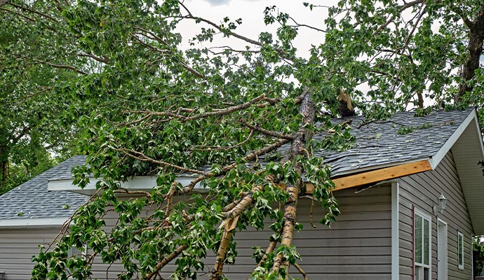Damaged roof