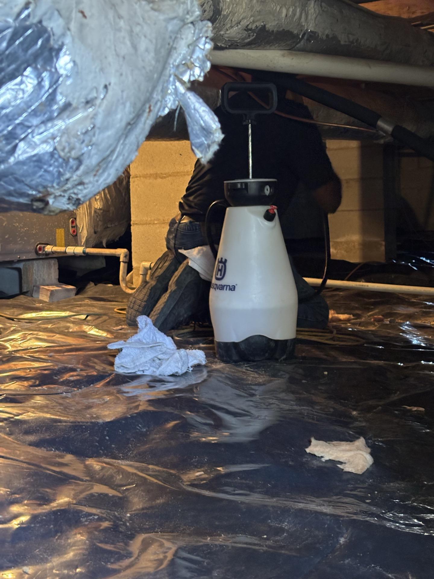 Crawlspace Cleanup