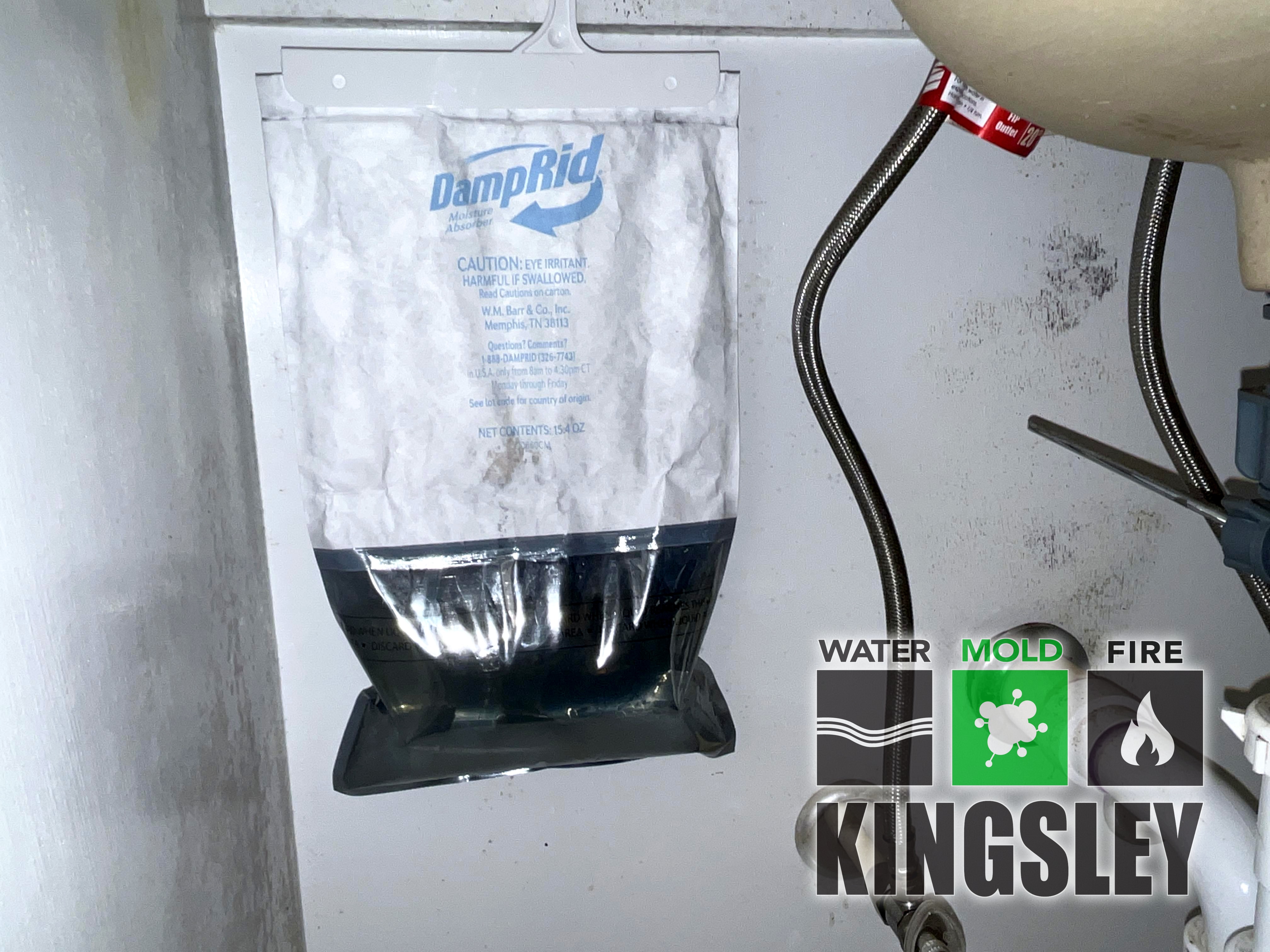 Vanity Cabinet Mold Remediation