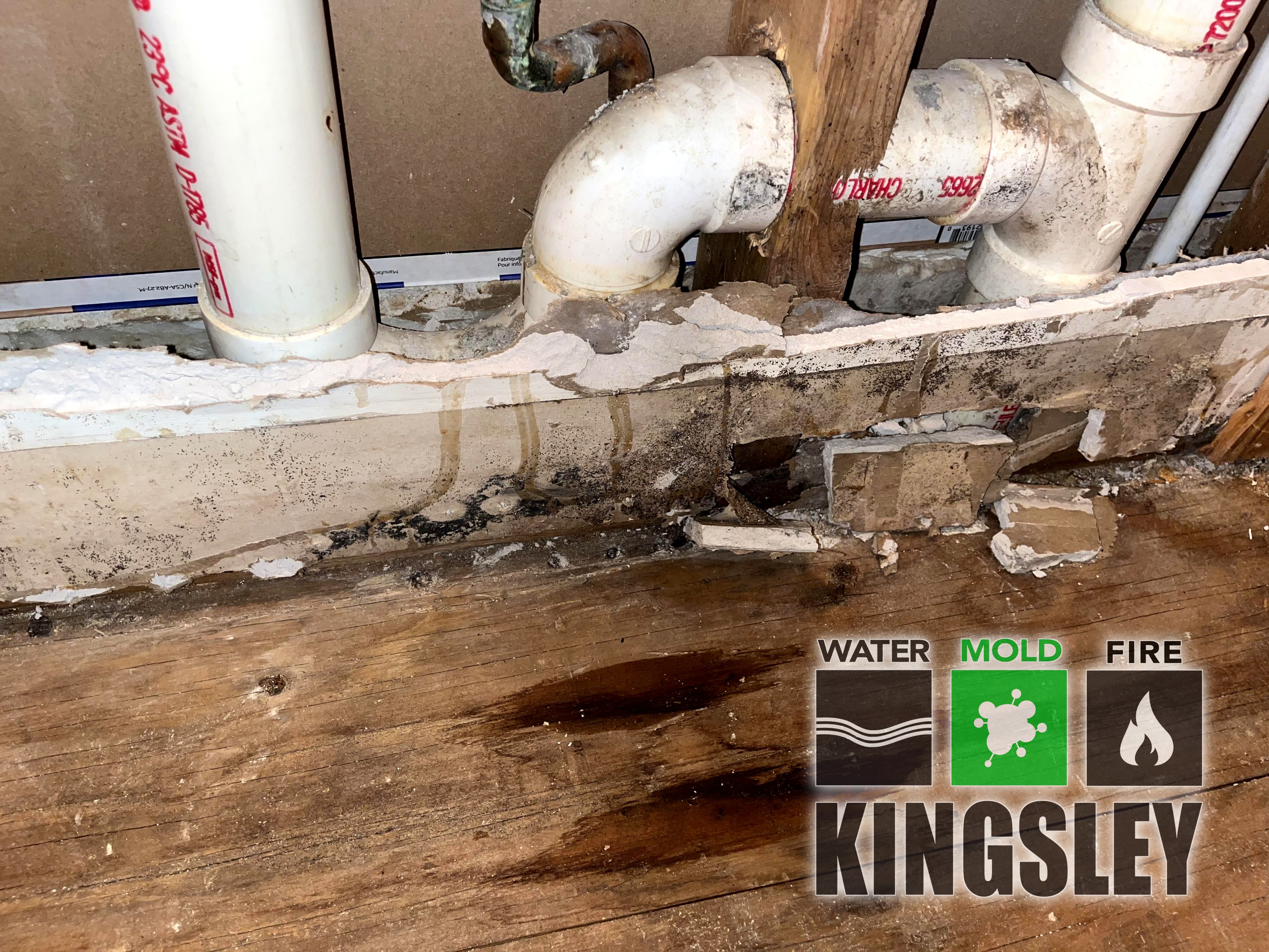 Vanity Subfloor Mold Inspection Cleanup