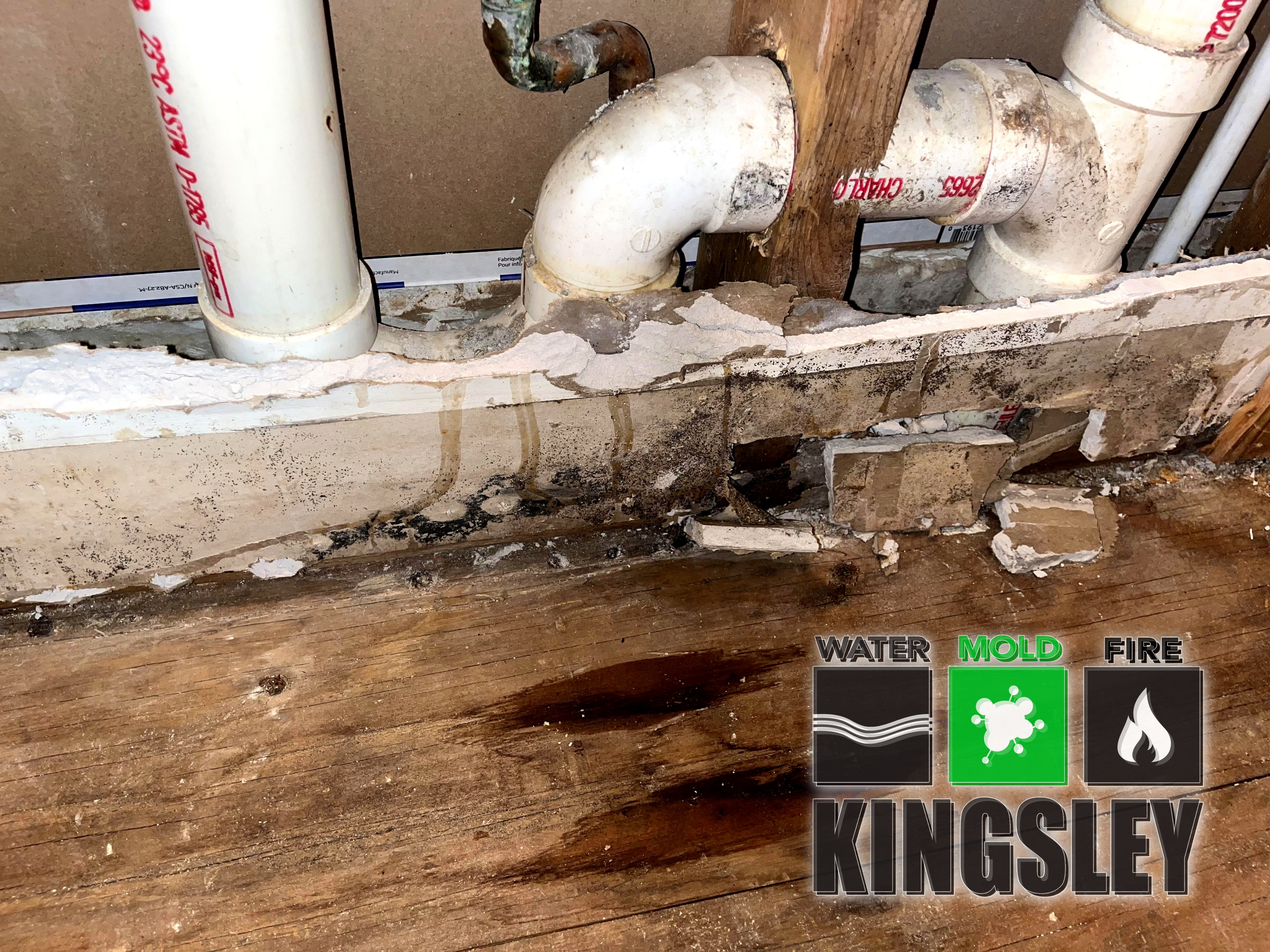 Doorway Subfloor Water Damage Cleanup