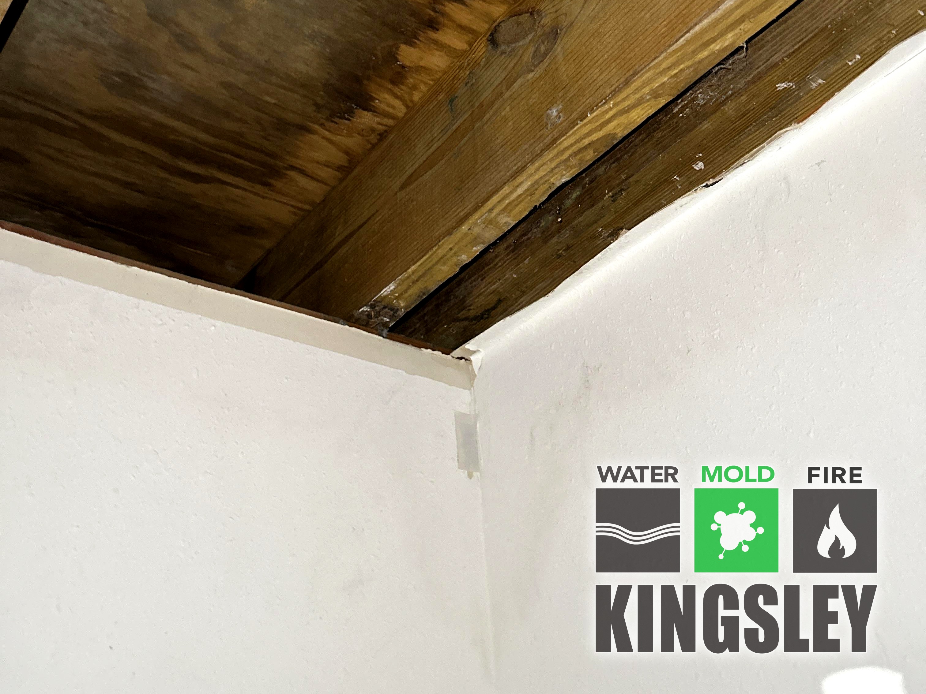 Ceiling Mold Patch Remediation