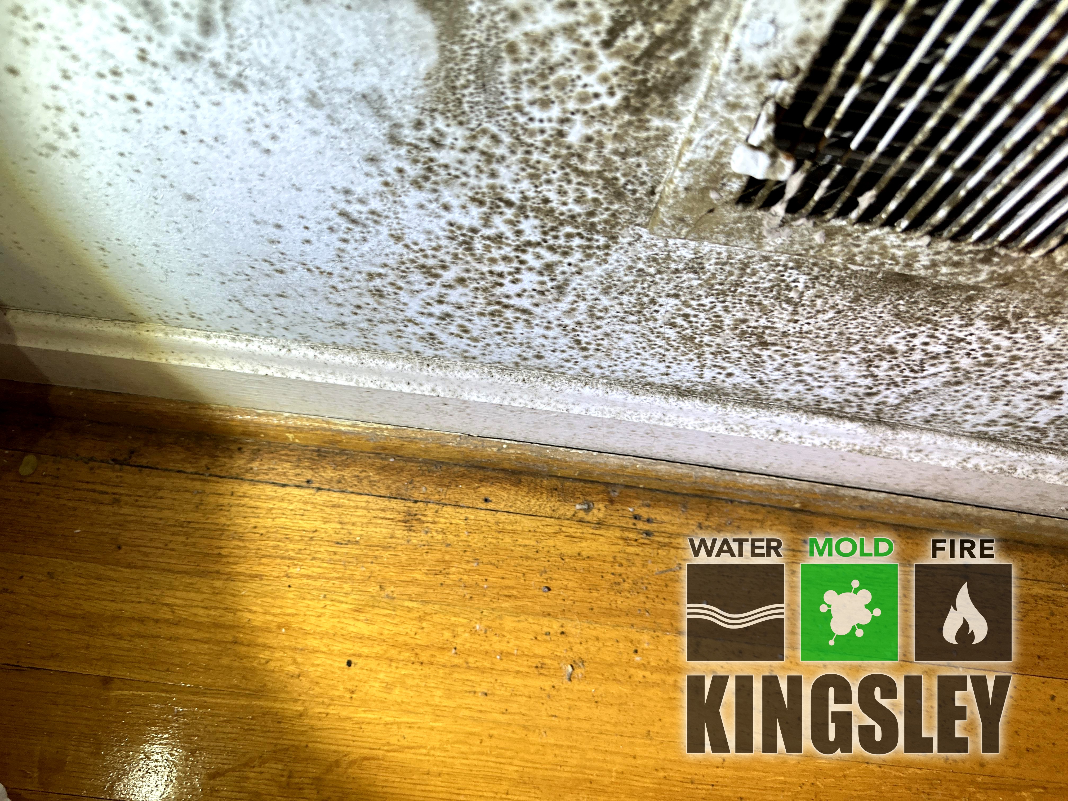 HVAC Vent Mold Cleanup and Remediation