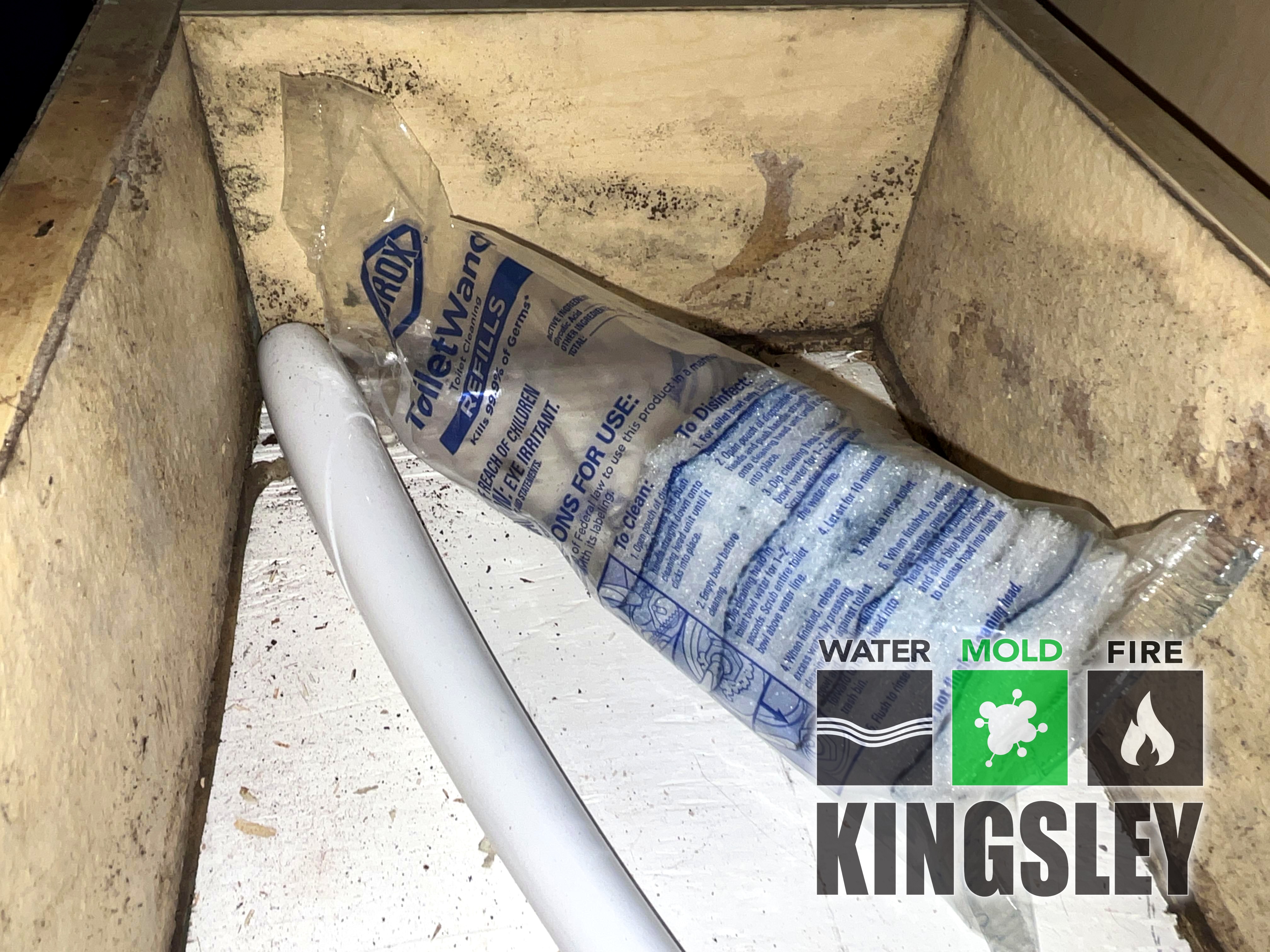 kingsley cabinet seam mold remediation cleanup lexington sc