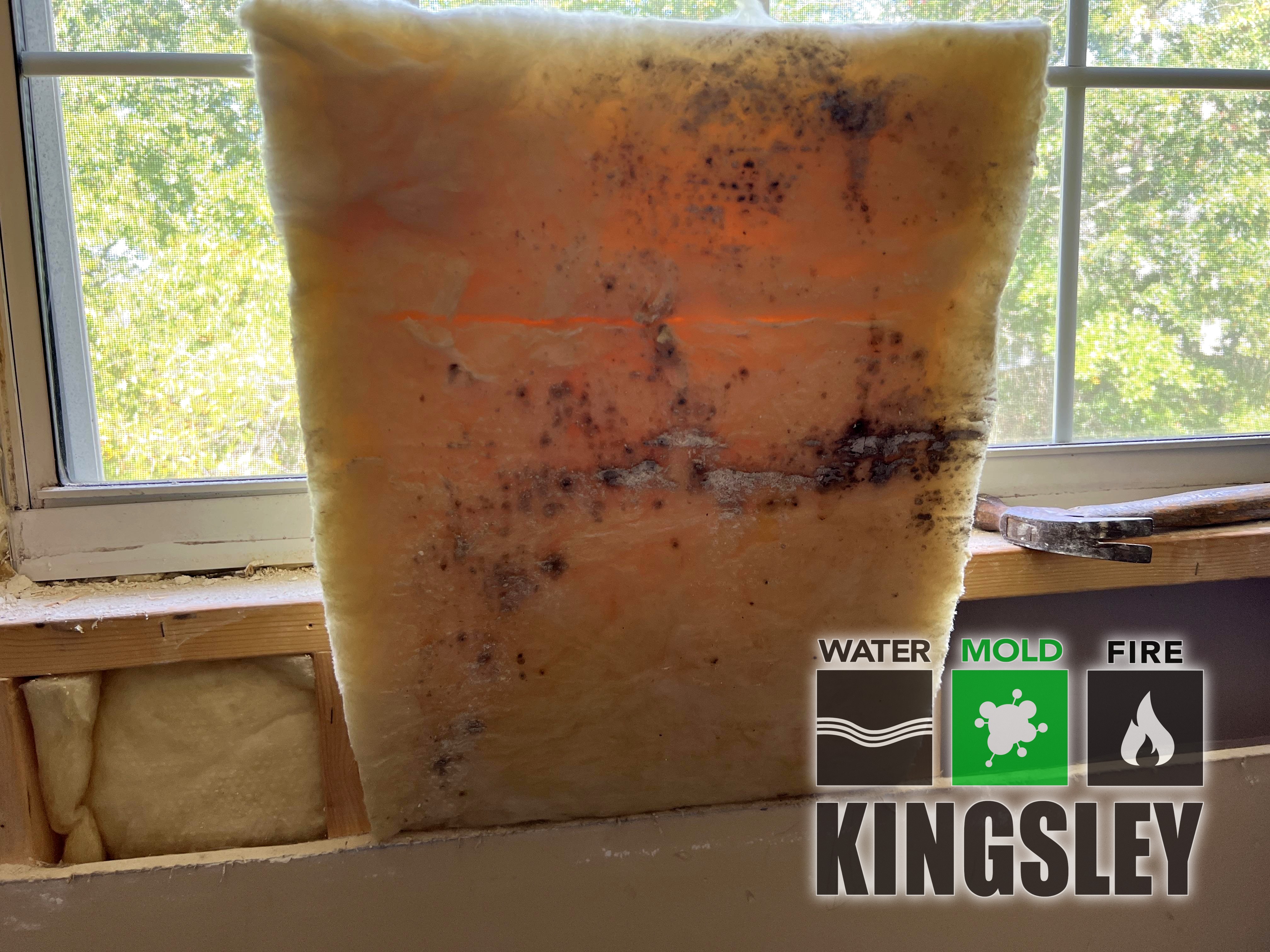 kingsley moldy fiberglass insulation removal remediation greer sc
