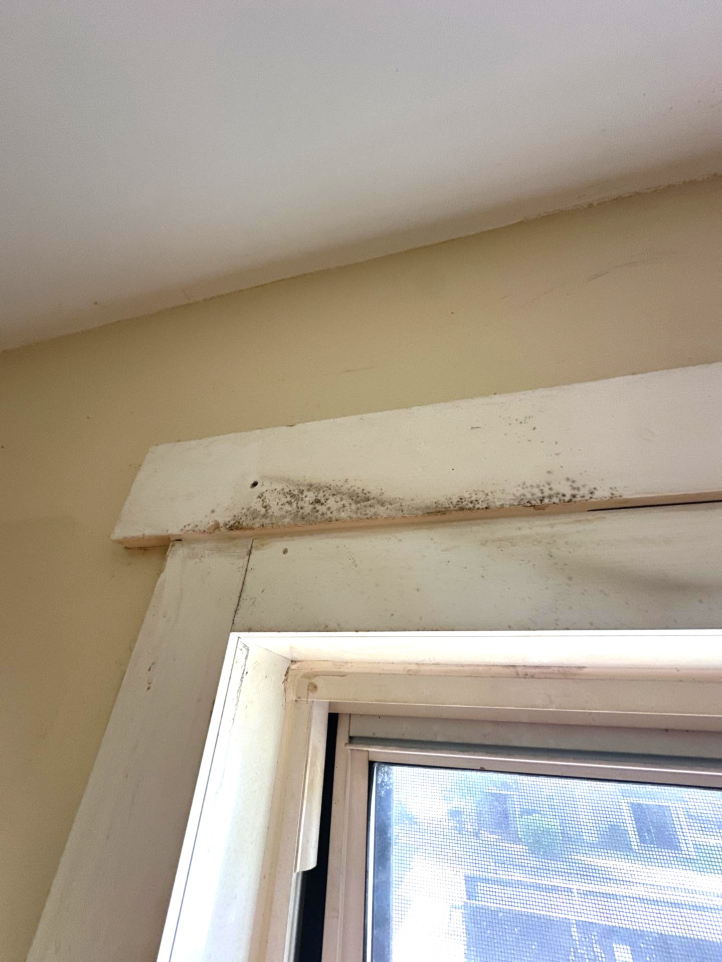 Mold Job Inspection
