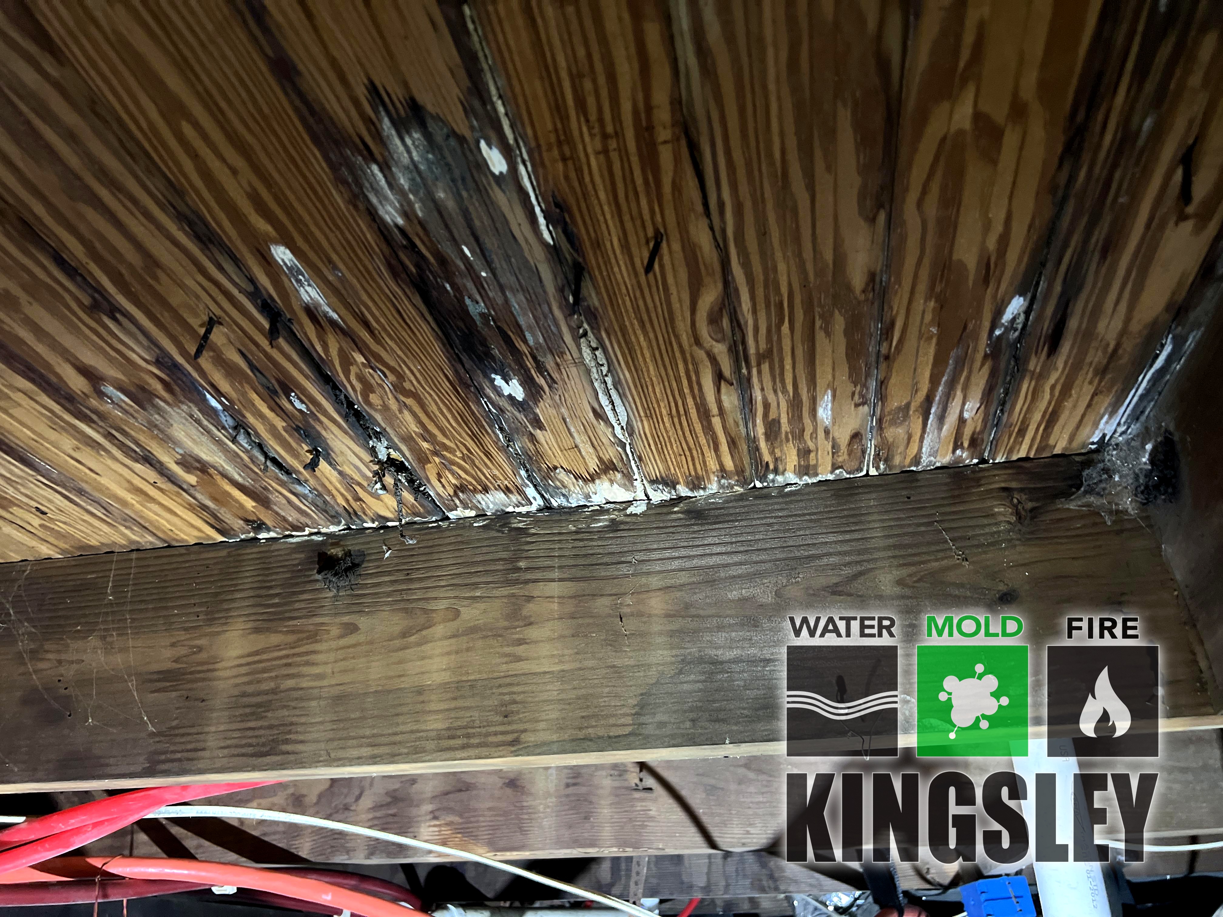 Crawlspace Subfloor Mold and Water Cleanup