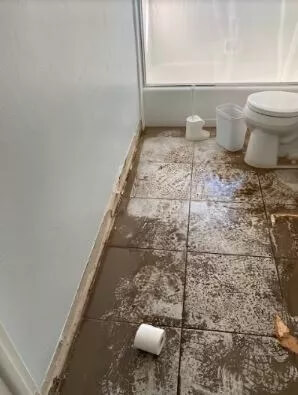 Water Cleanup and Assessment