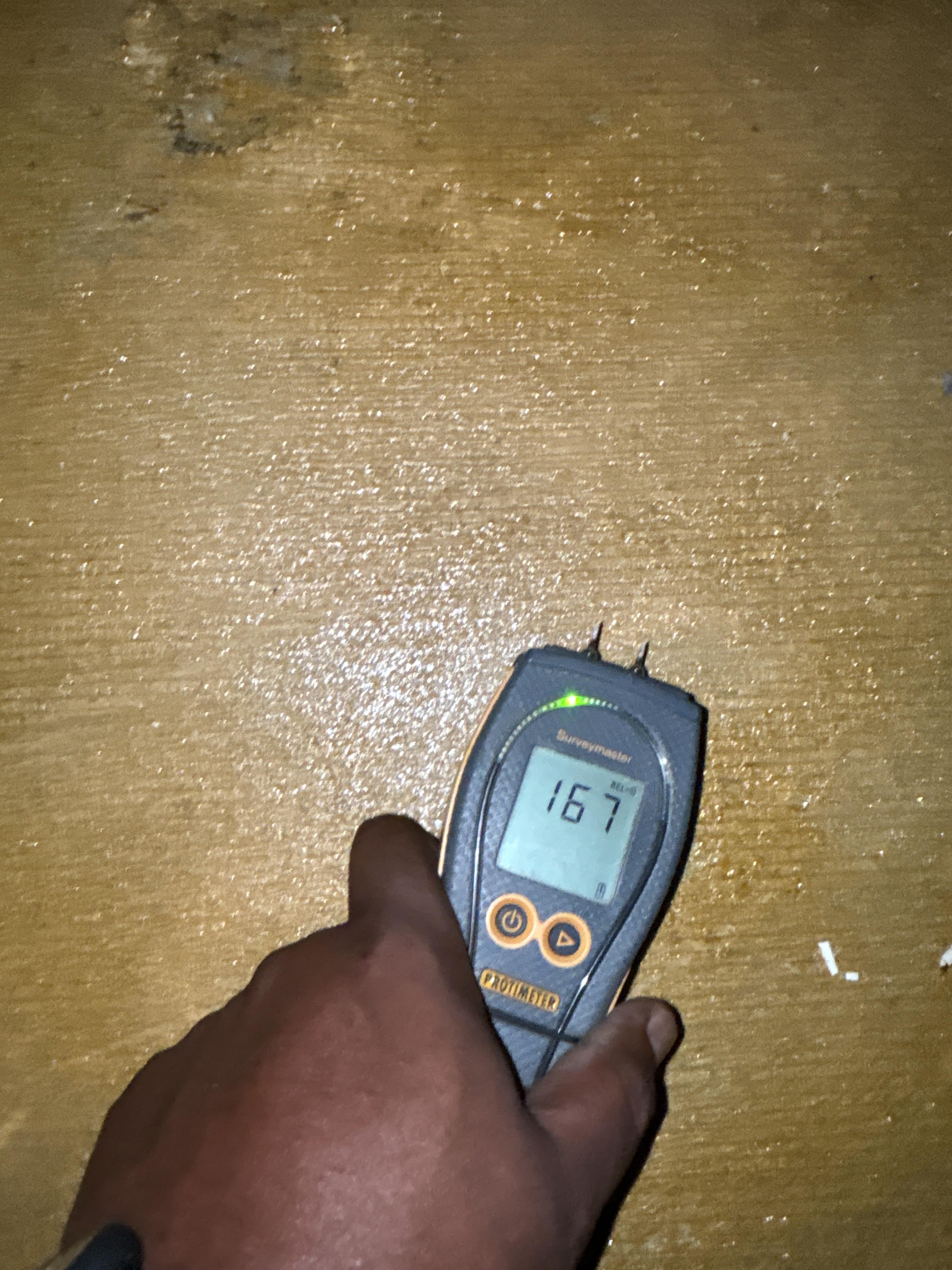 Bethune Water Damage