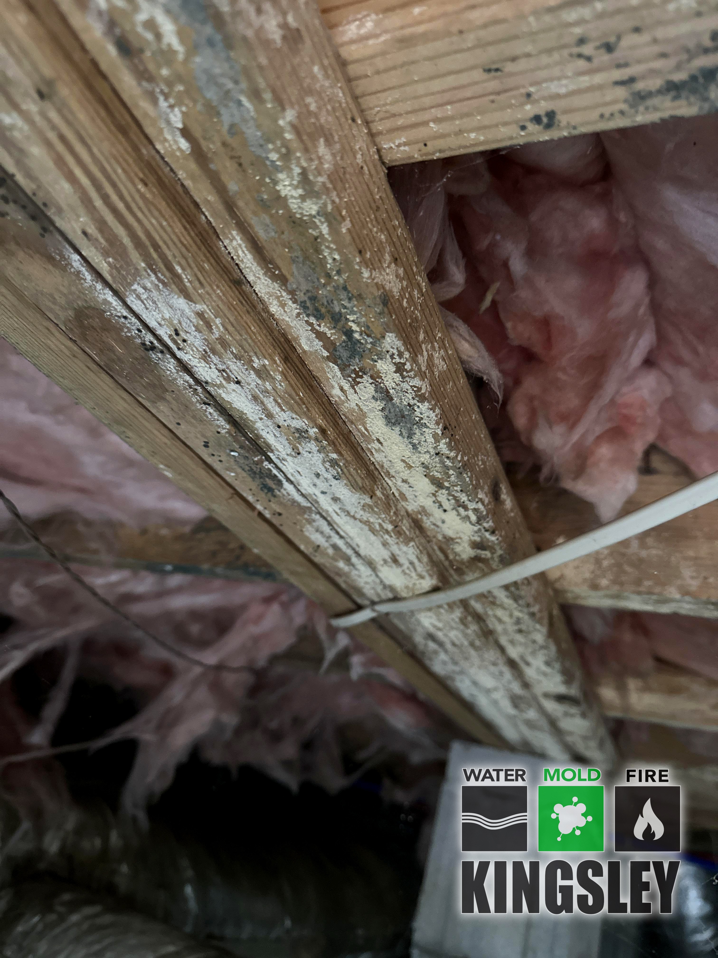 a2 c1492252 ClaimRoomAfterPicture 383834078