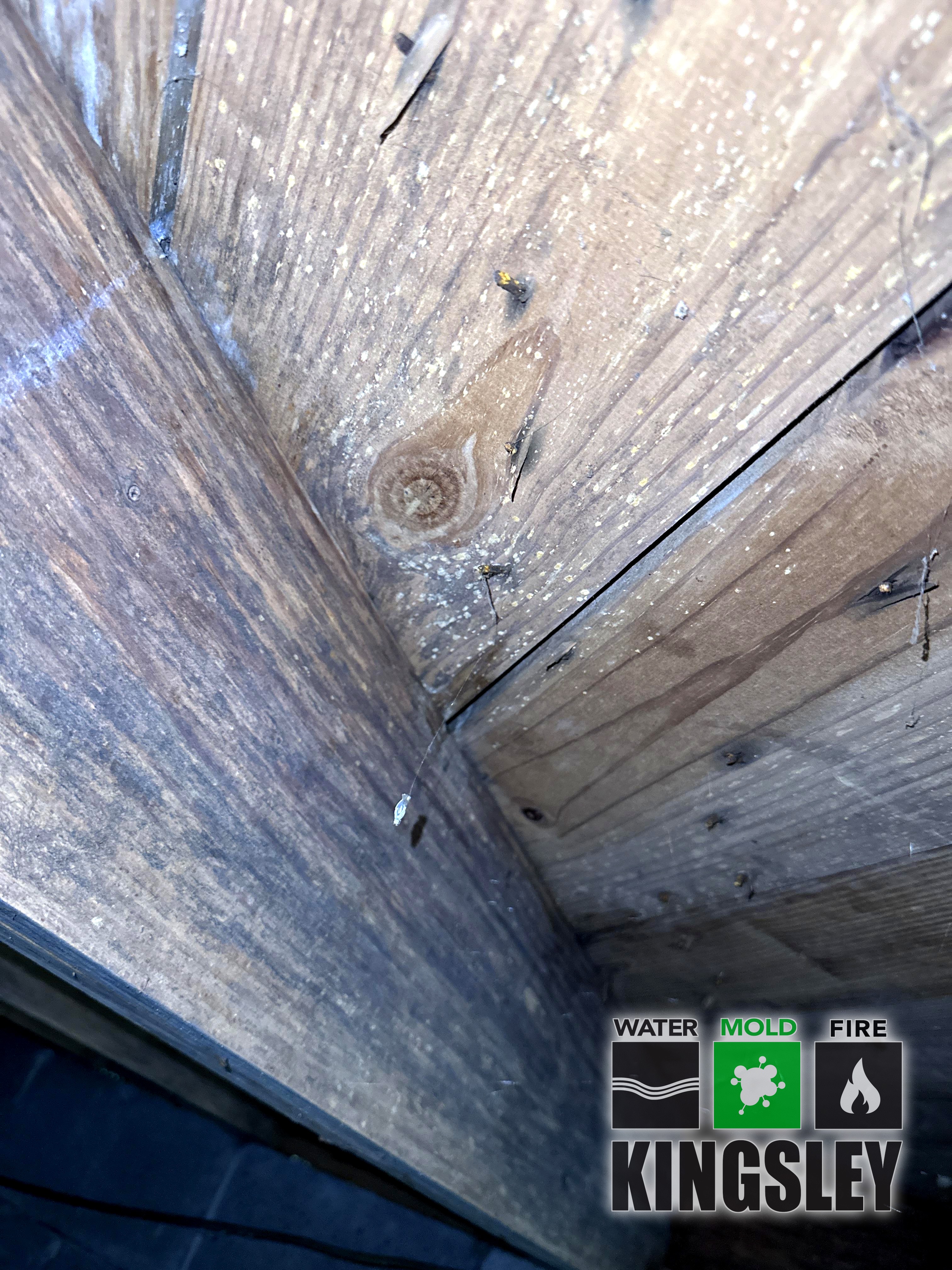 kingsley crawlspace mold joist subfloor cleanup columbia sc