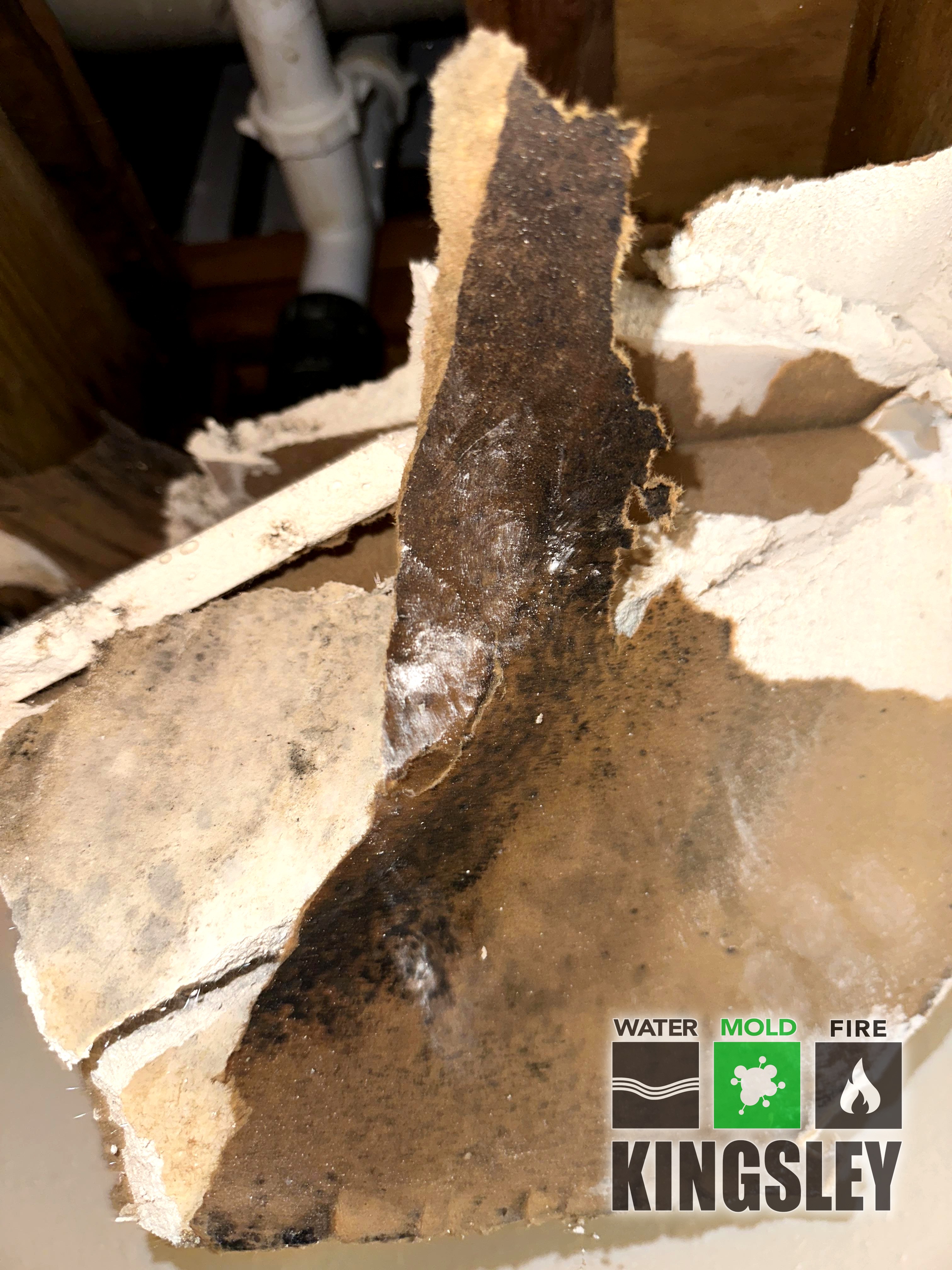 Ceiling Cavity Joist Mold Remediation