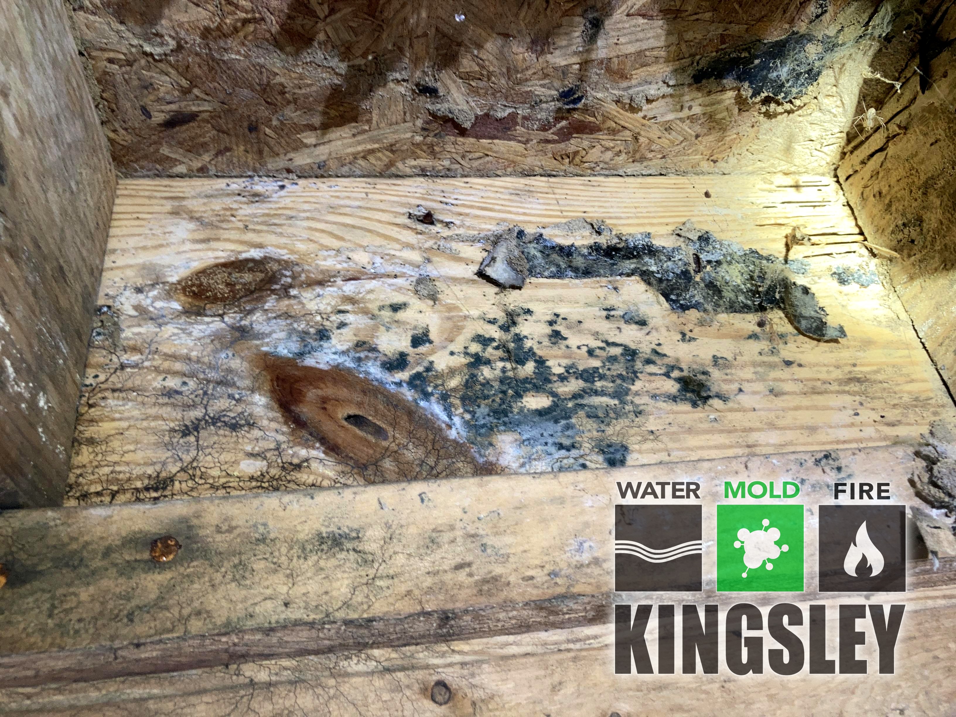 Tile Floor Moisture Mapping and Water Cleanup