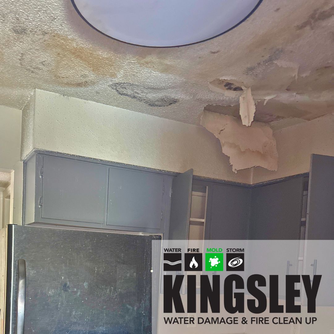 Kitchen Ceiling Mold Water Damage