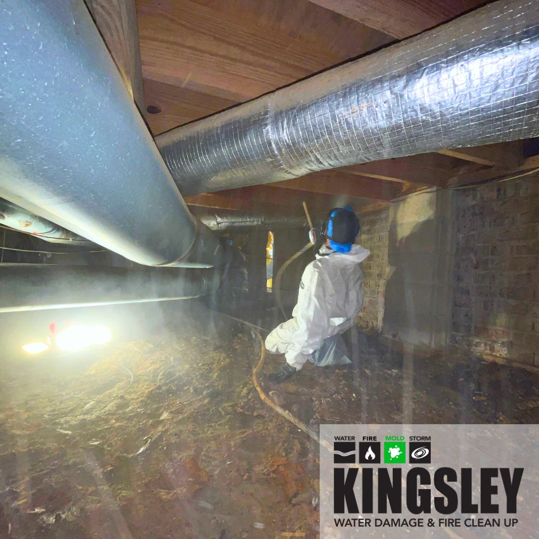 Commercial Rental Property Mold