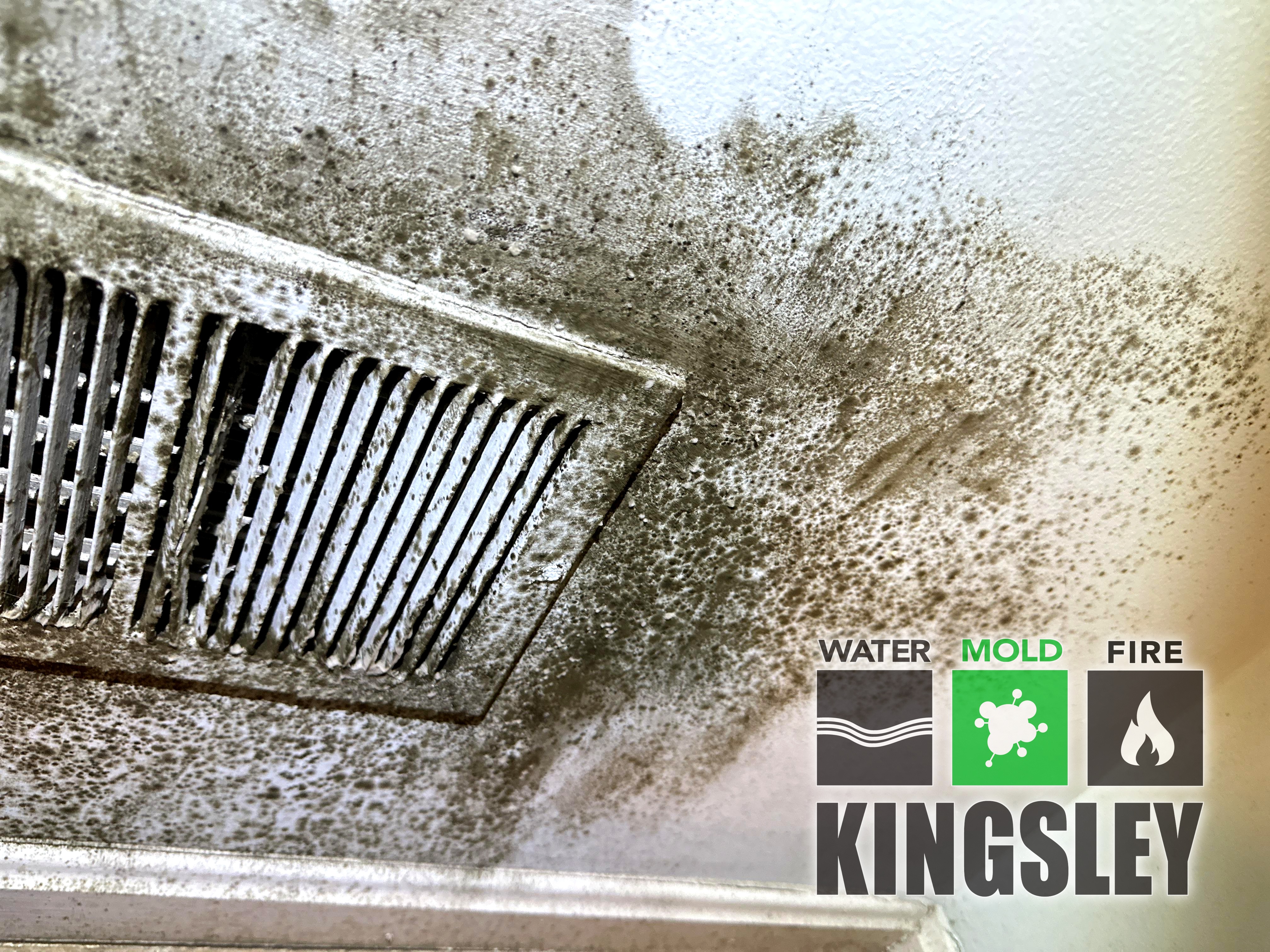kingsley ceiling tile vent mold remediation greer sc