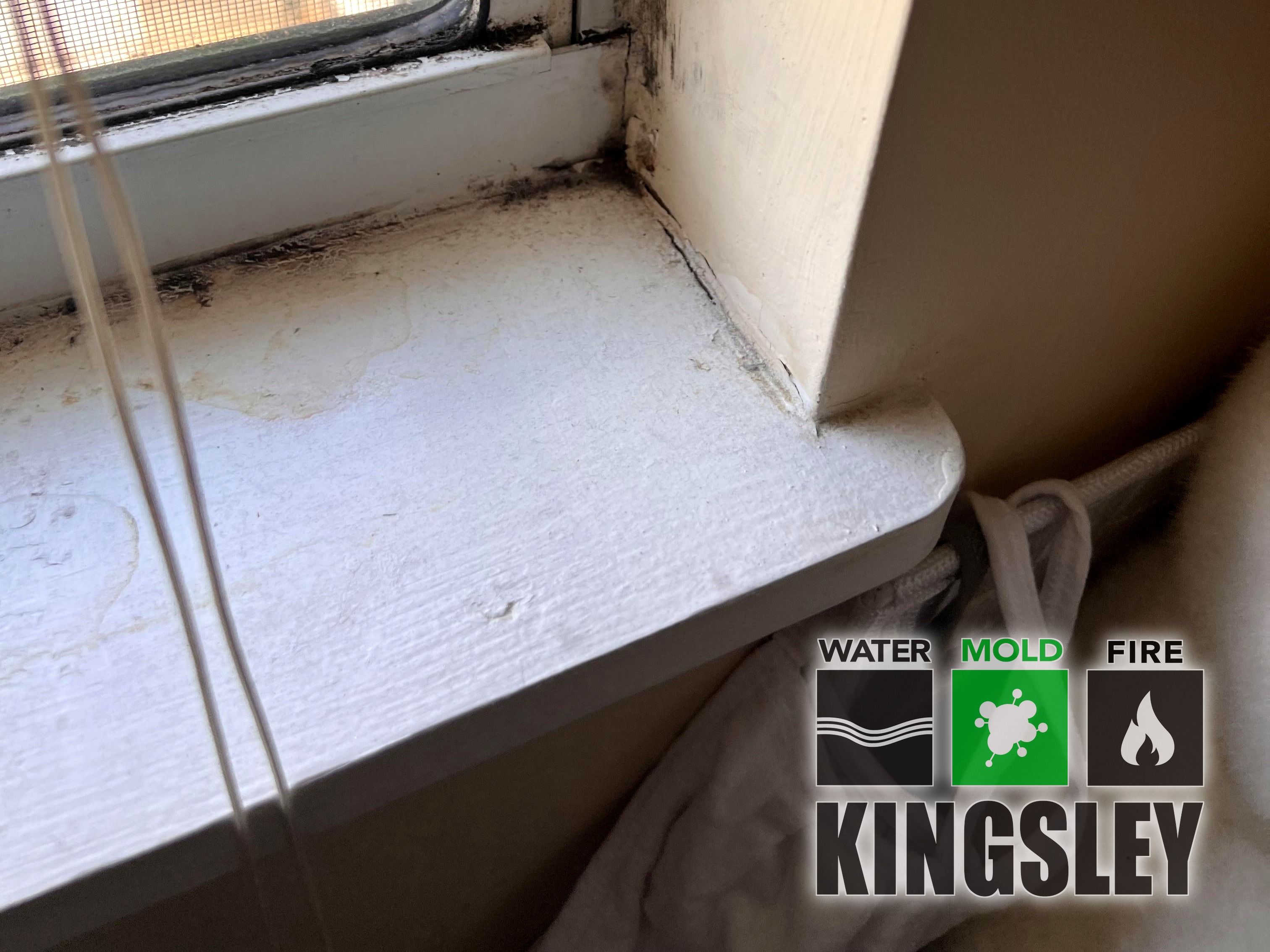 PPE work on window framing during mold remediation in Bluffton, SC