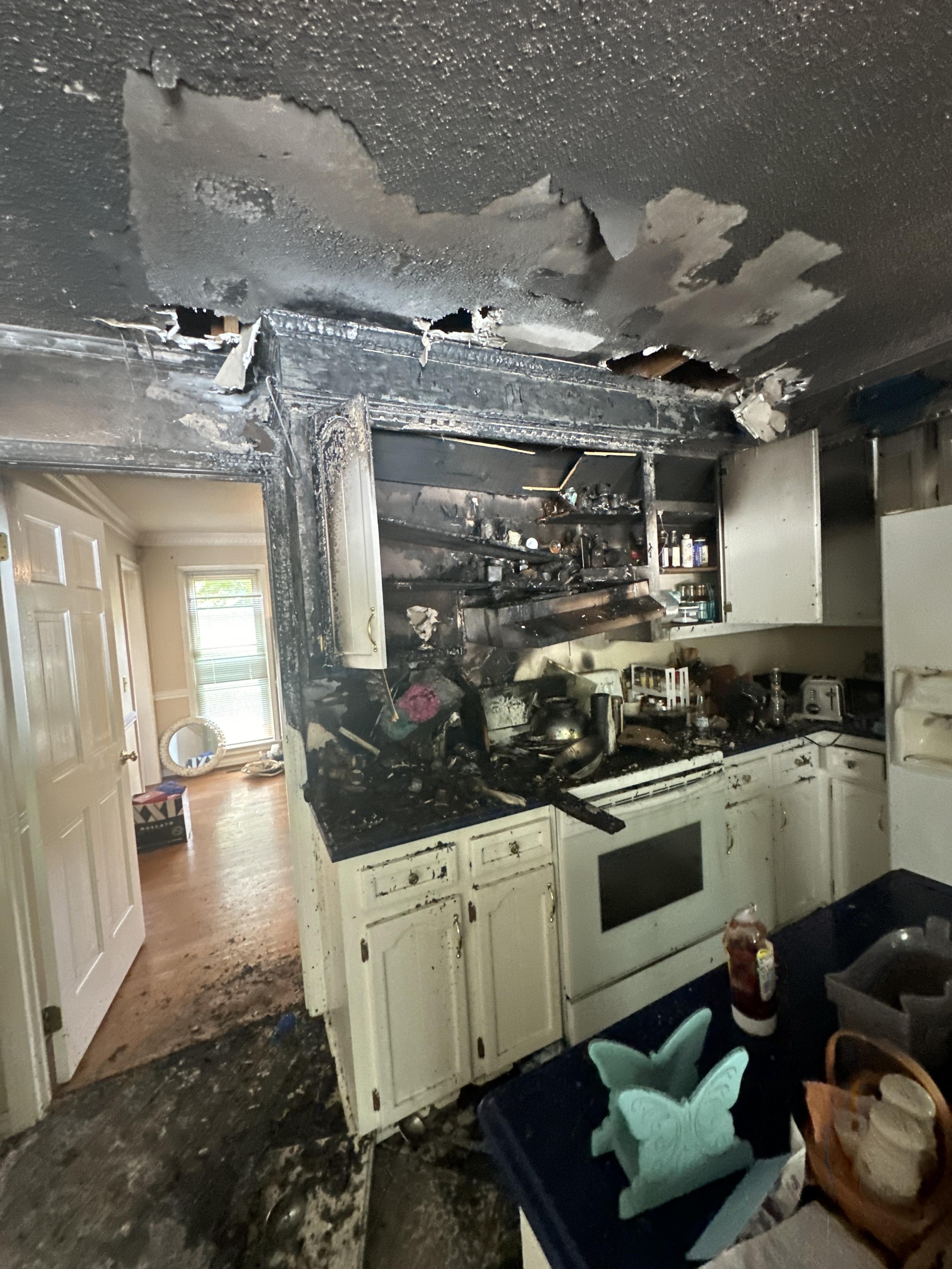 Fire Remediation 