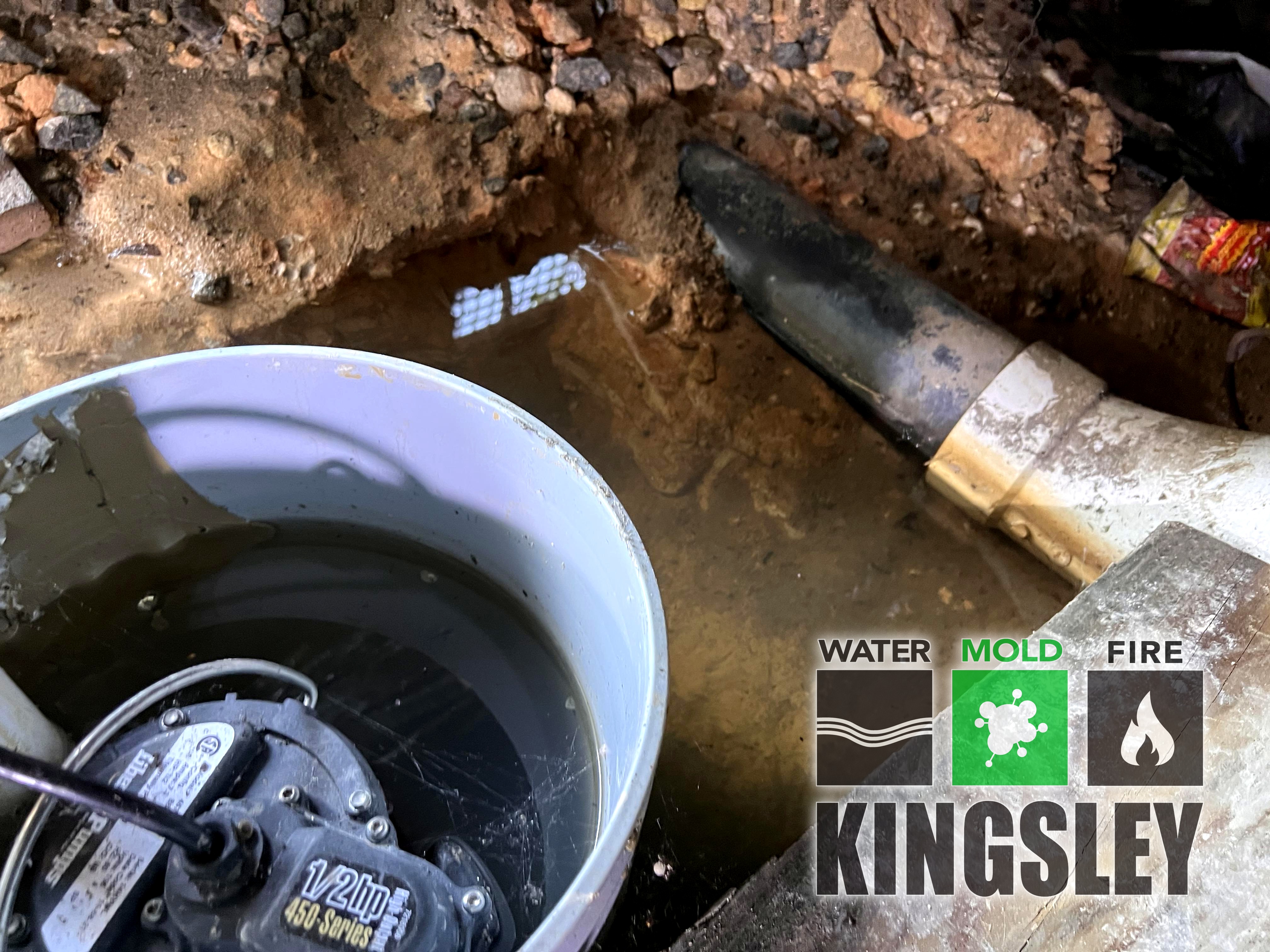 Crawlspace Joist Mold Inspection and Cleanup