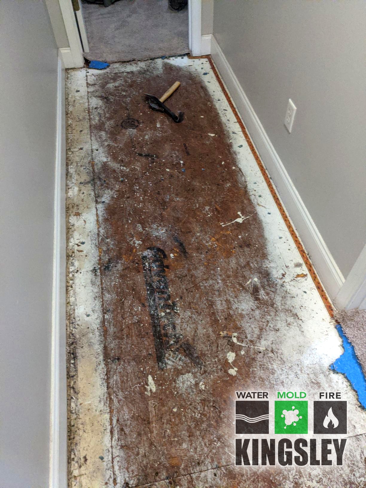 Hallway Carpet Removal and Subfloor Cleanup