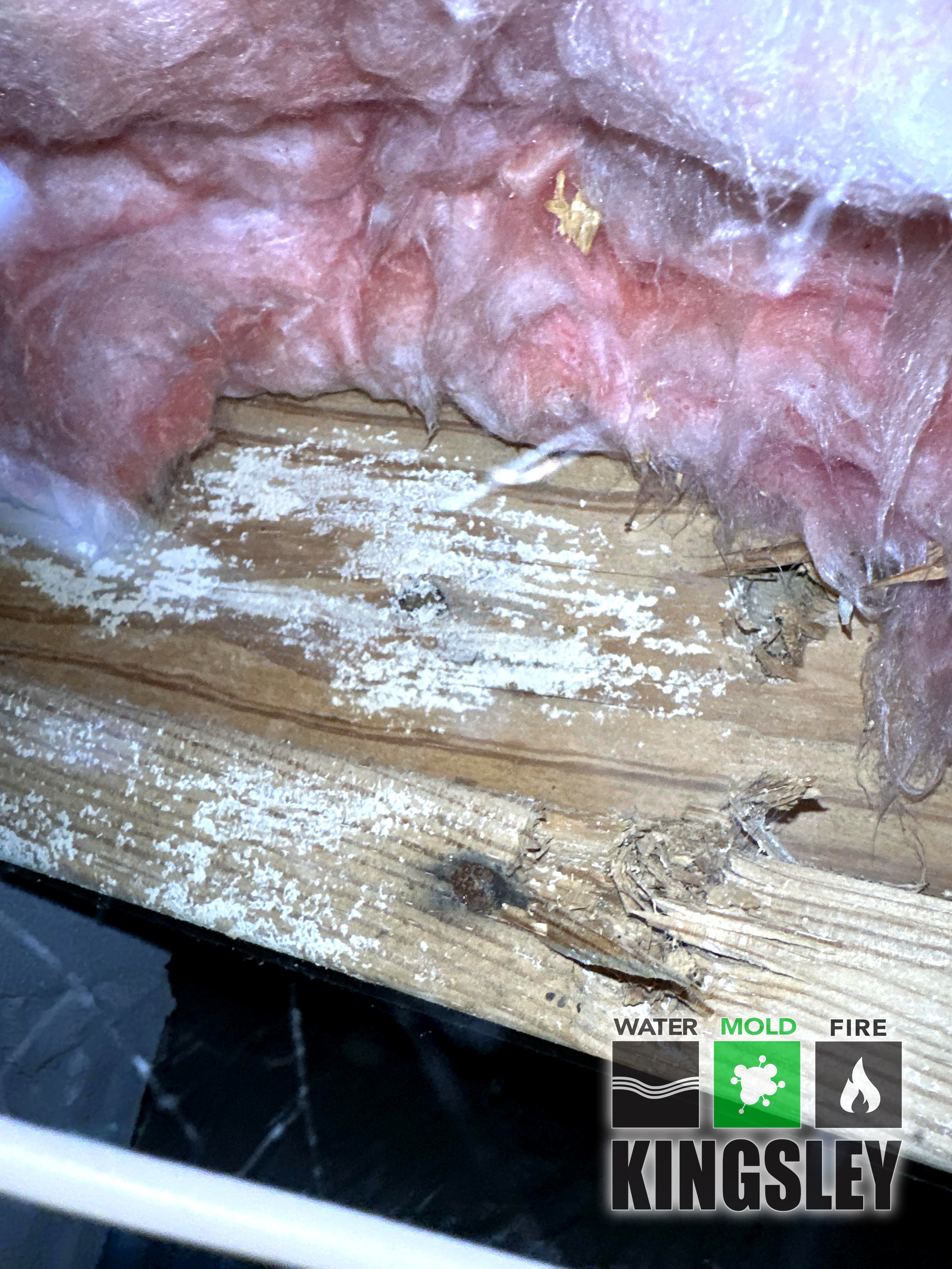 a2 c1492252 ClaimRoomAfterPicture 383837044