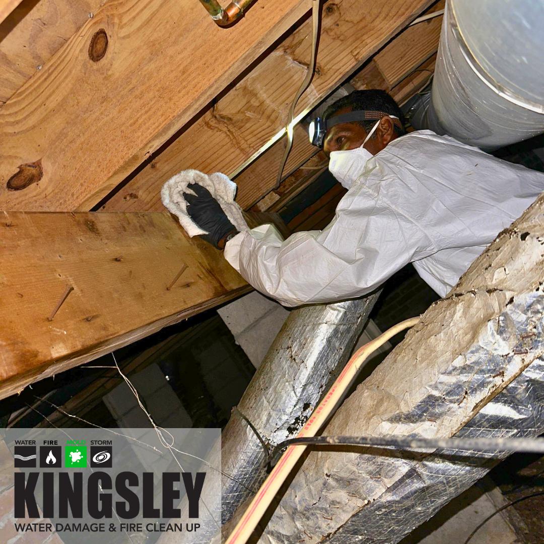 Crawlspace & Bathroom Mitigation