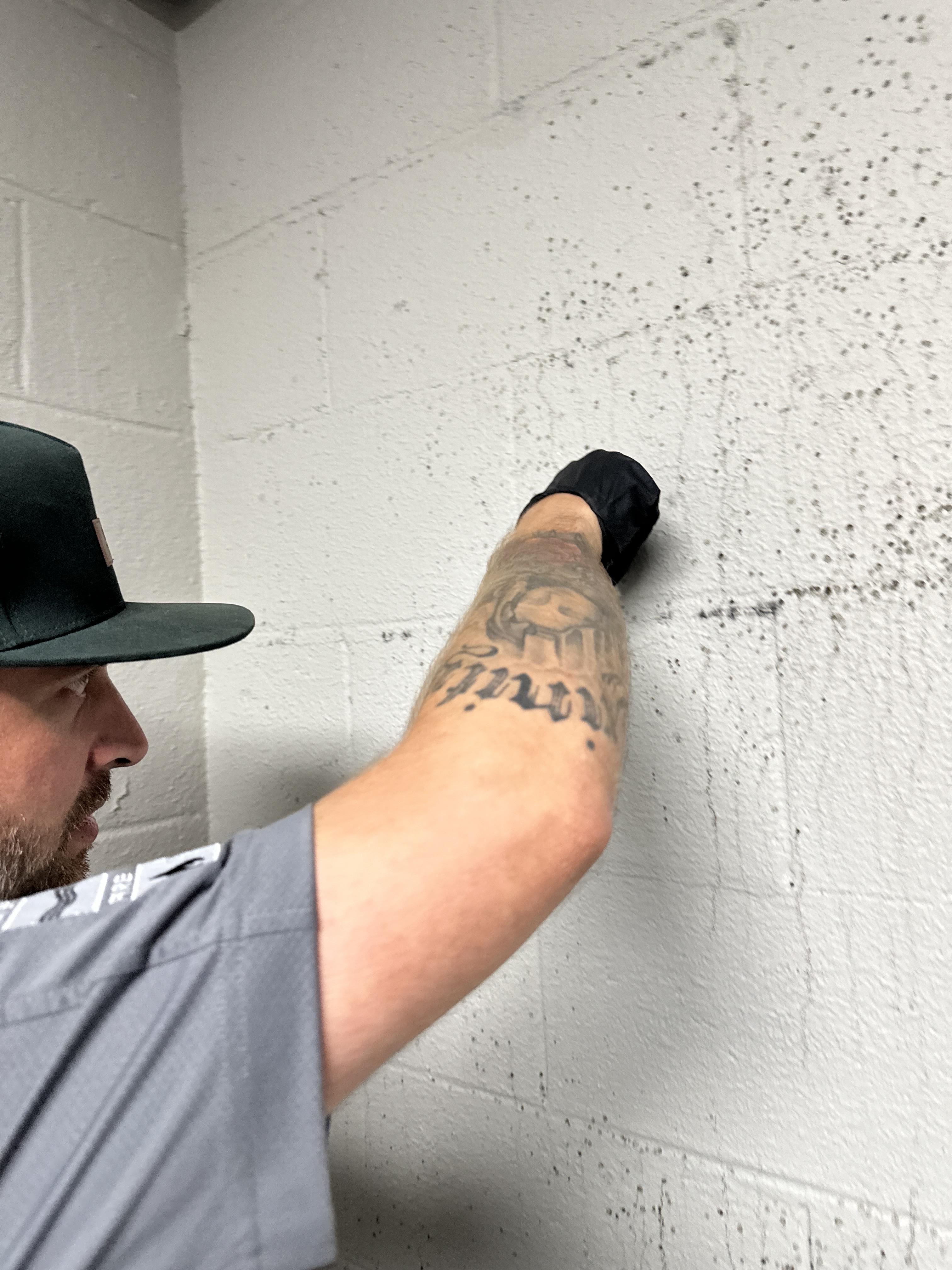 Dante swabbing mold