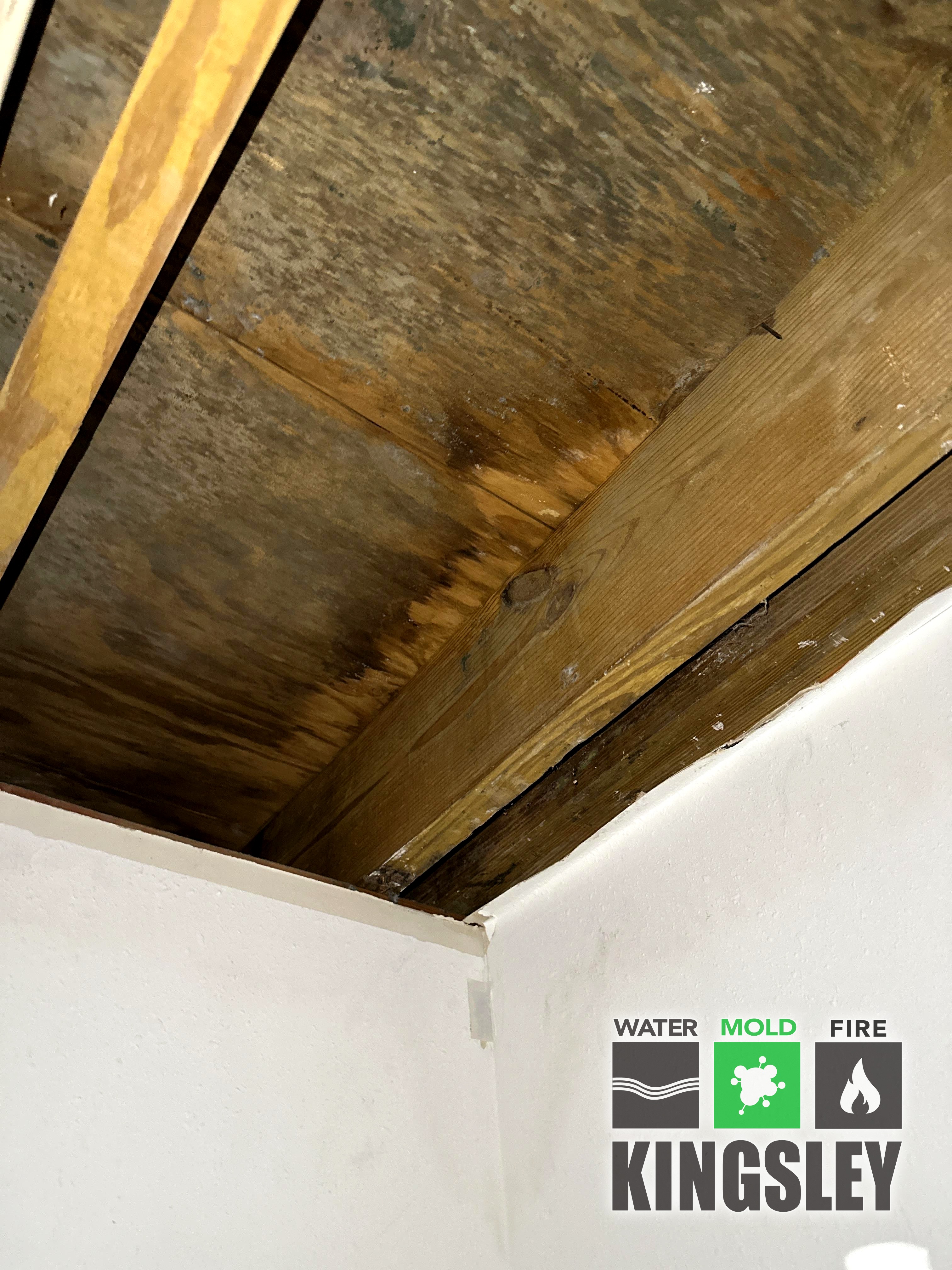 Ceiling Mold Patch Remediation
