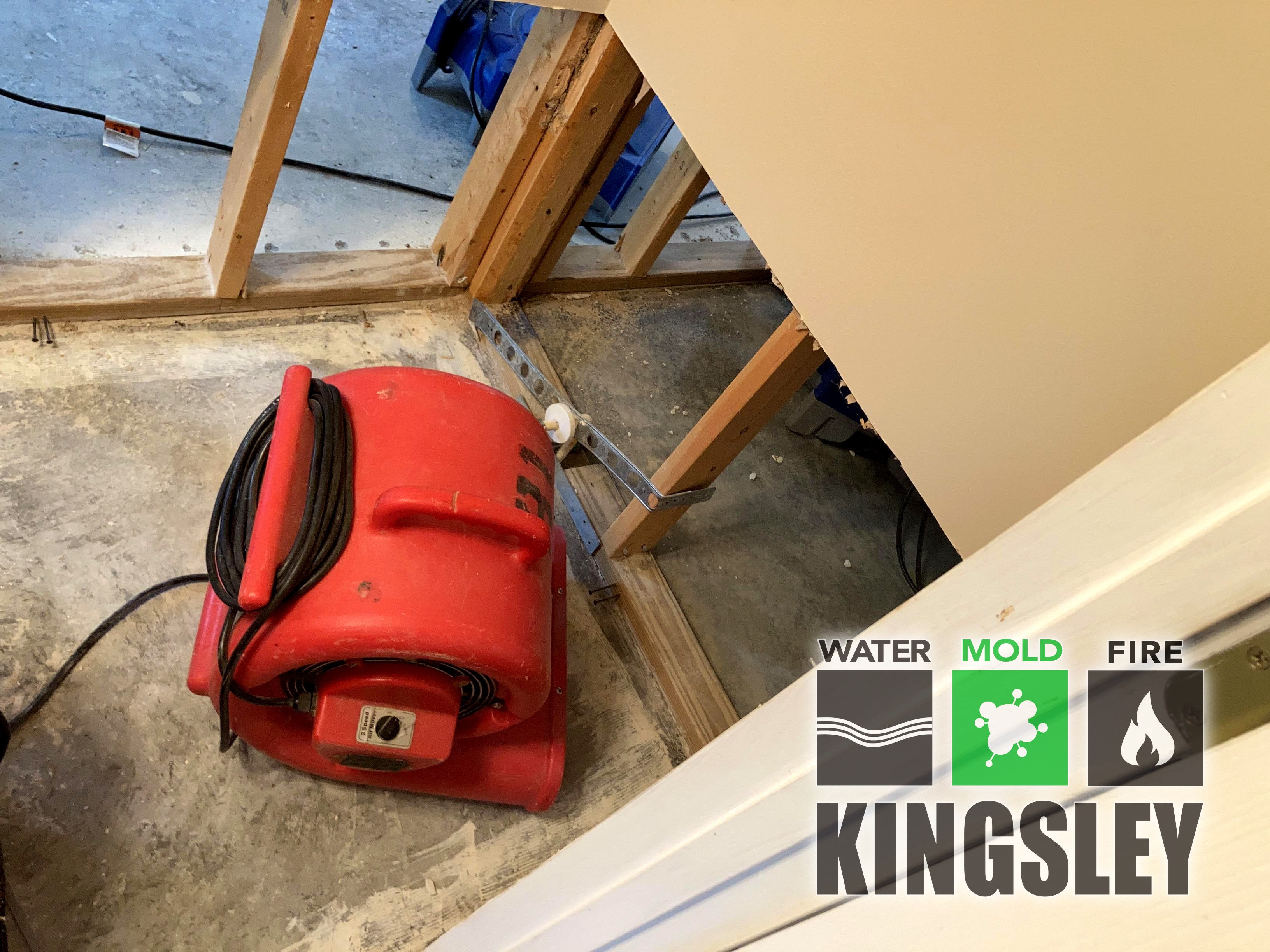 Crawlspace Joist Mold Inspection and Cleanup