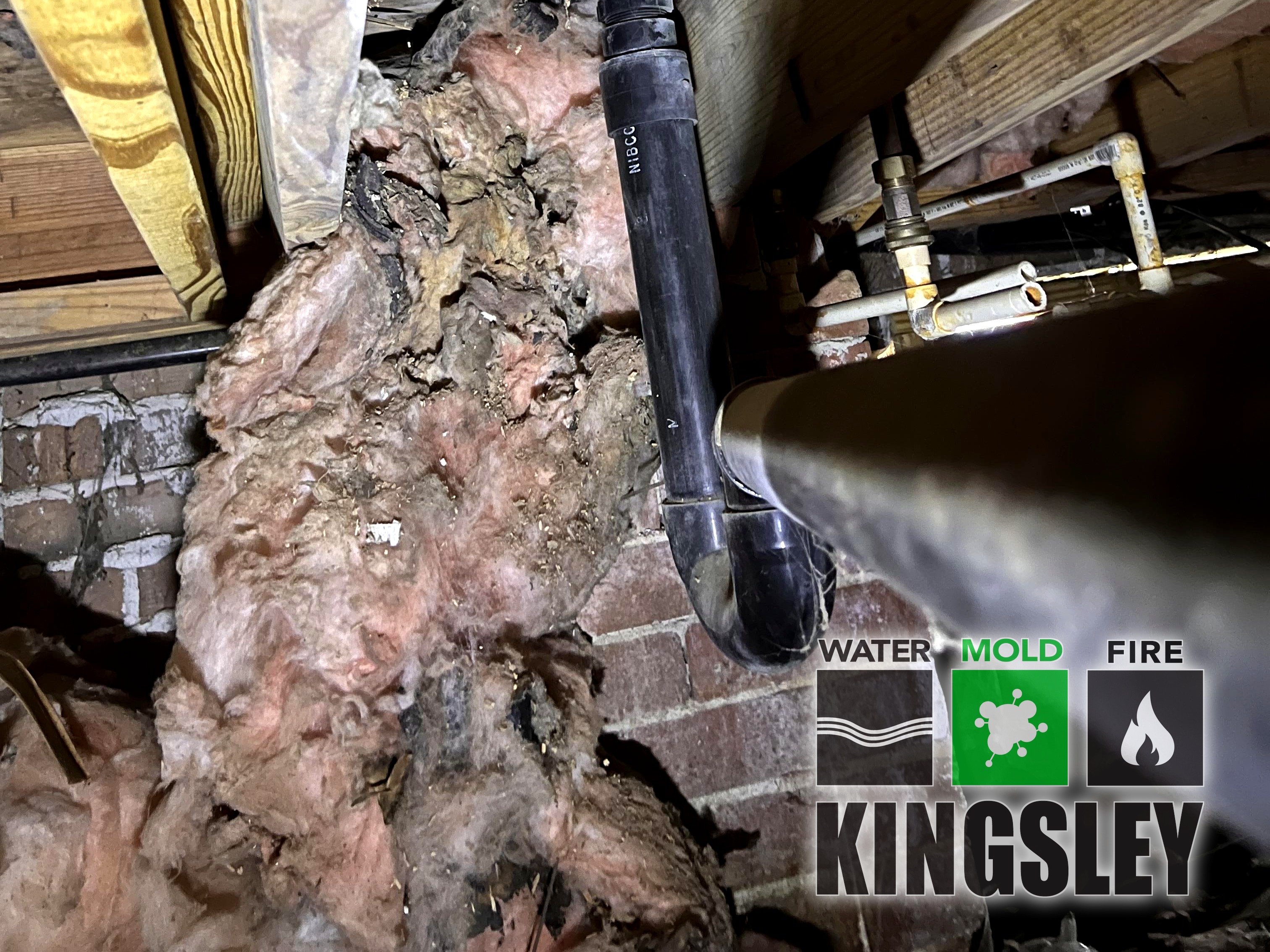 Crawlspace joists with staining during mold cleanup in Hilton Head Island, SC