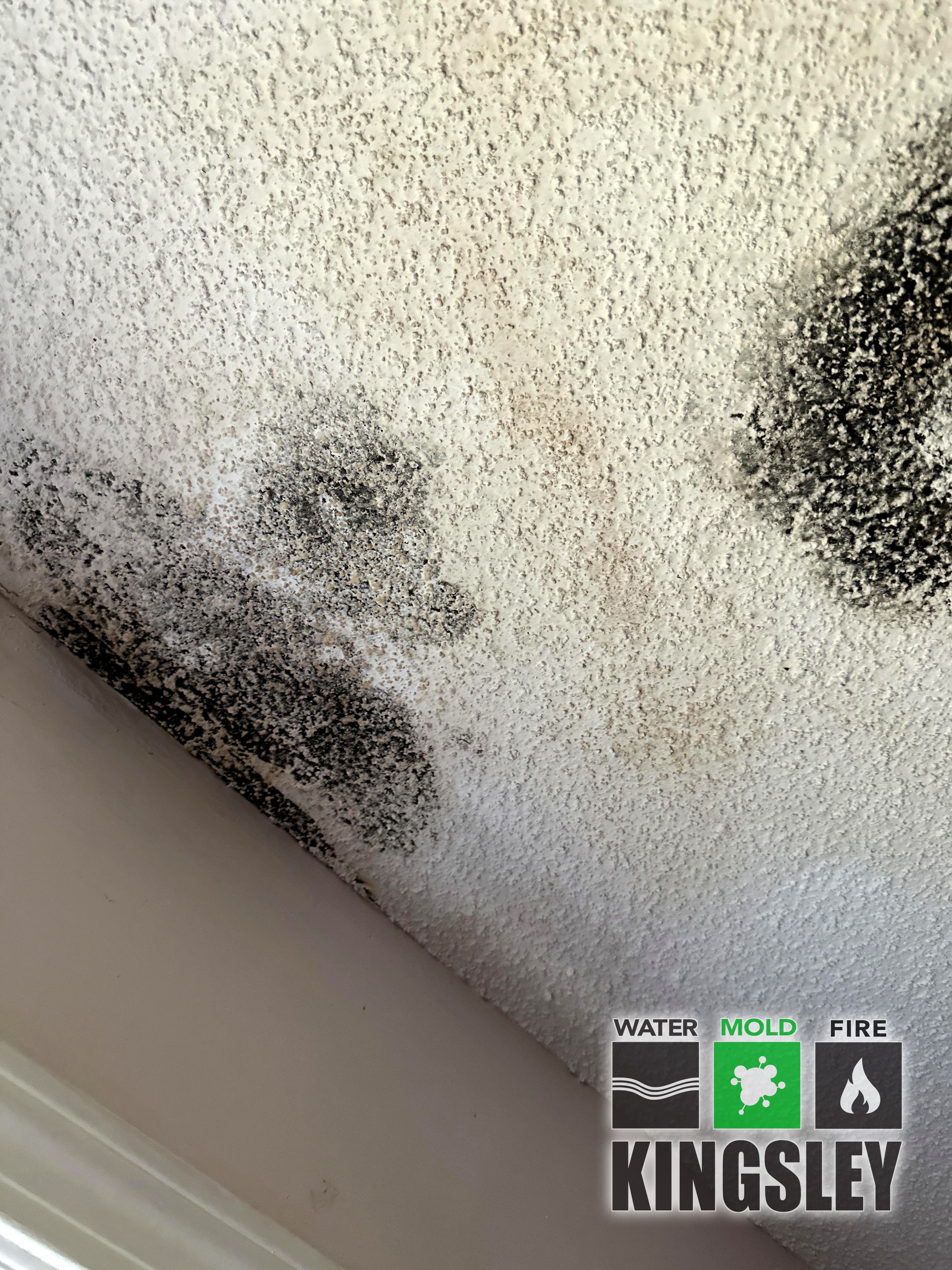 a3 c1550756 ClaimRoomAfterPicture 355240020