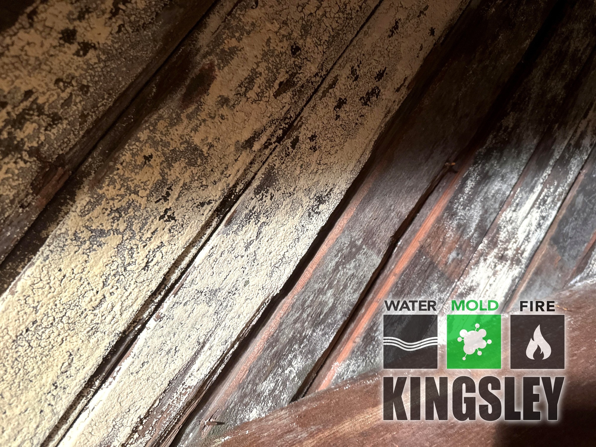 Crawlspace joist mold growth on structural wood documented in Columbia, SC