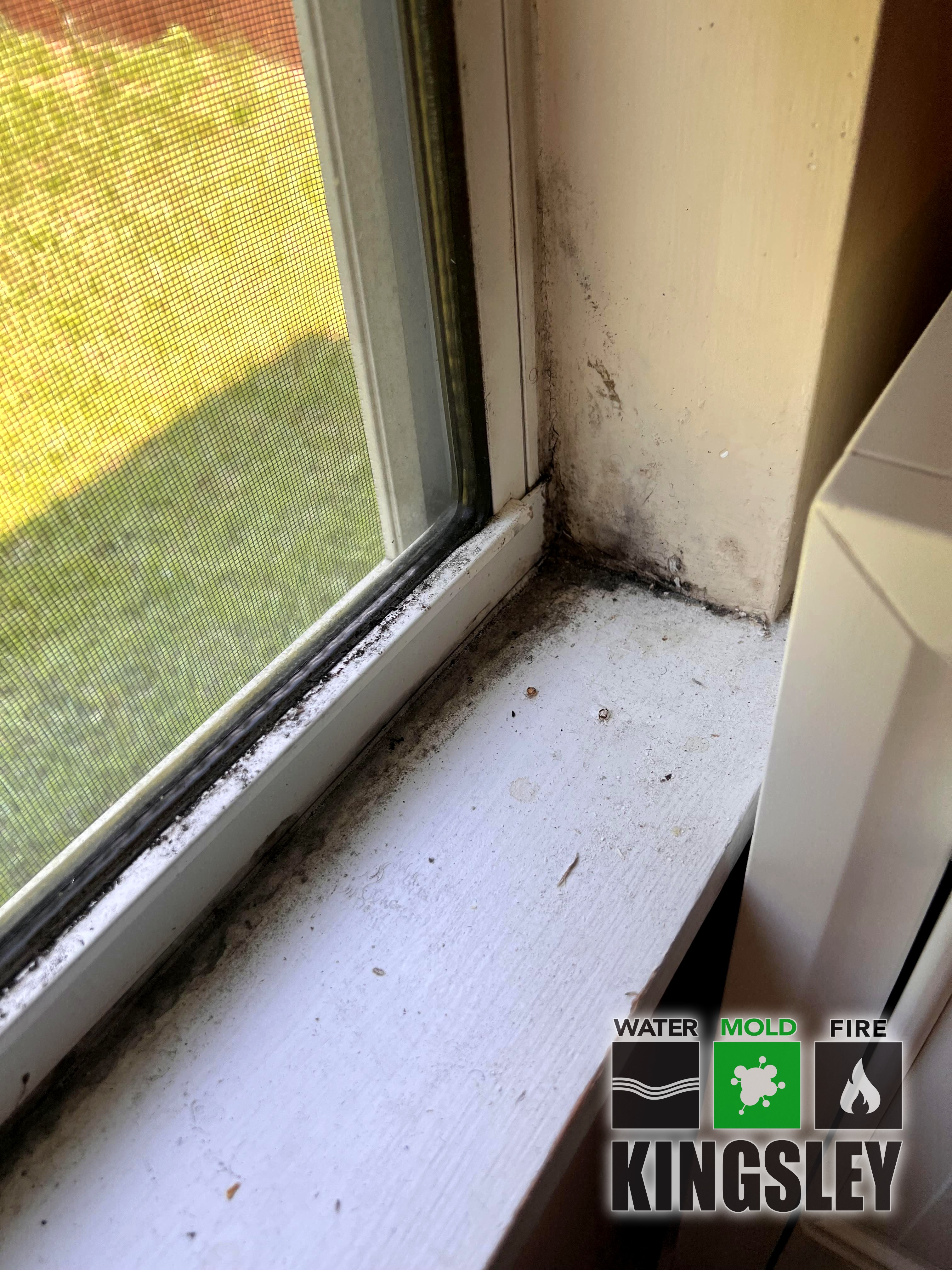 Window Sill Mold Cleanup and Remediation