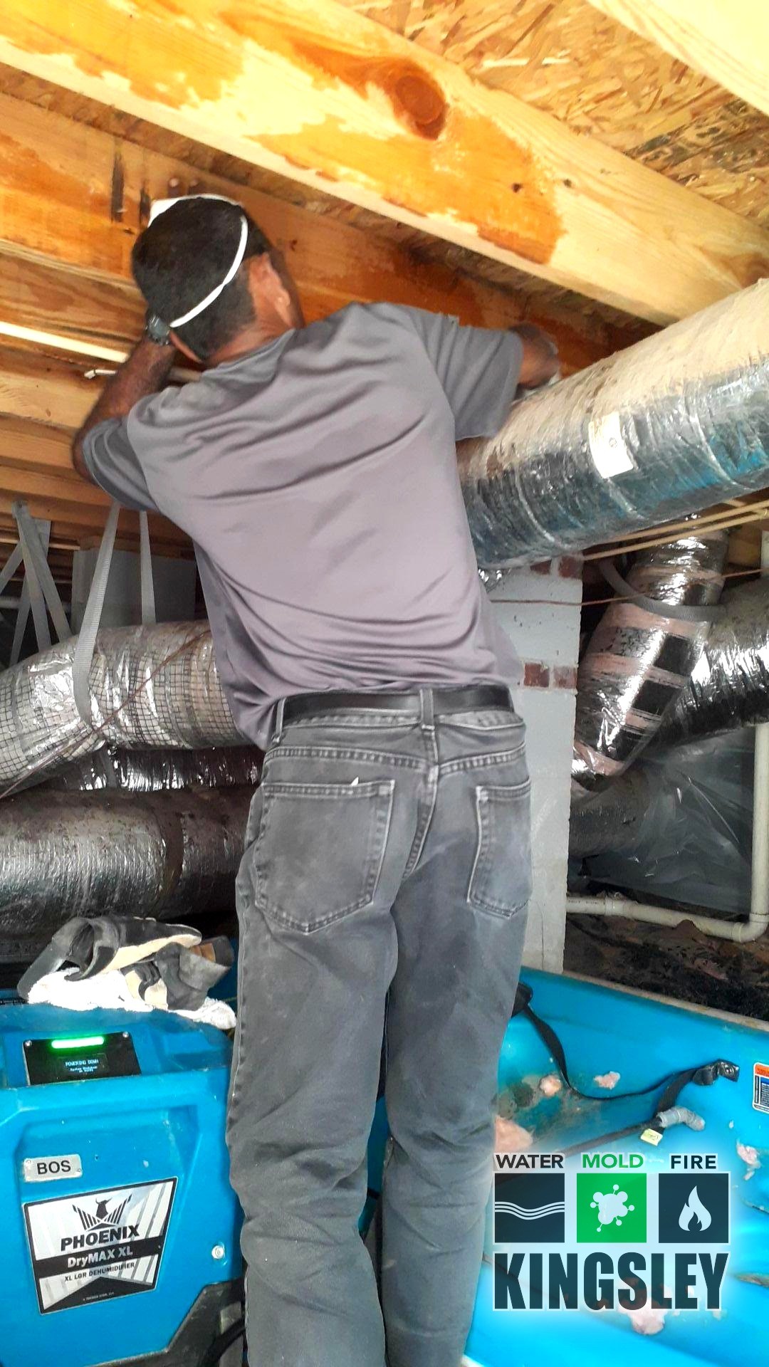 Standing Water Cleanup