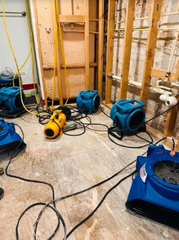 Water Damage Mitigation