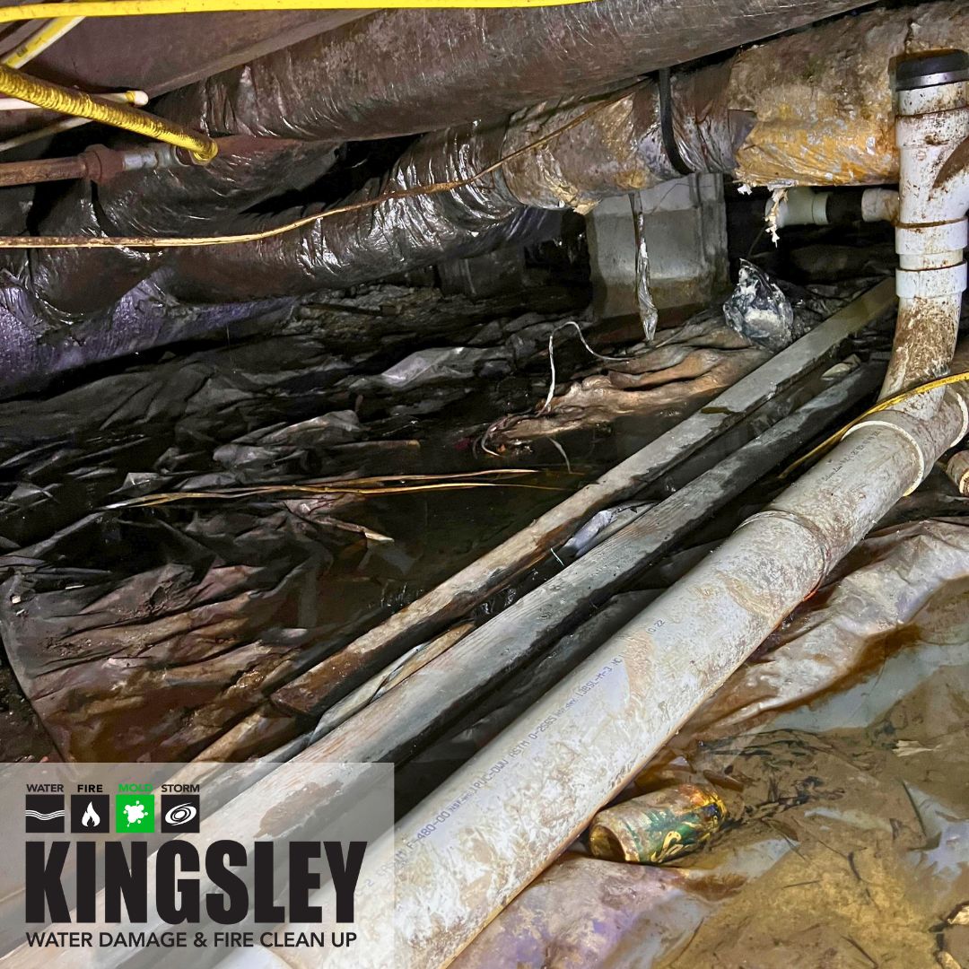 Ceiling Stain to Crawlspace Disaster