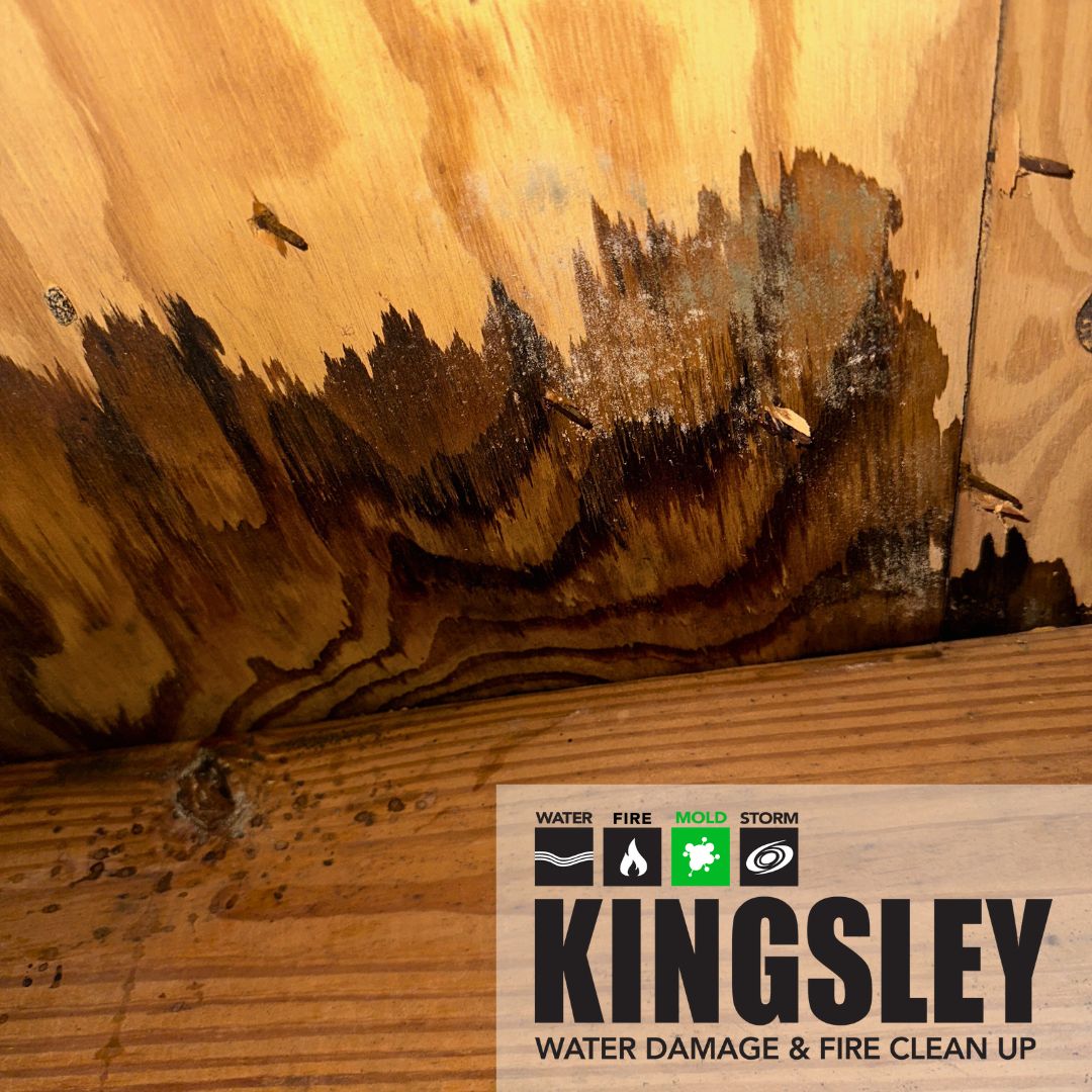 Crawlspace Subfloor Water Damage