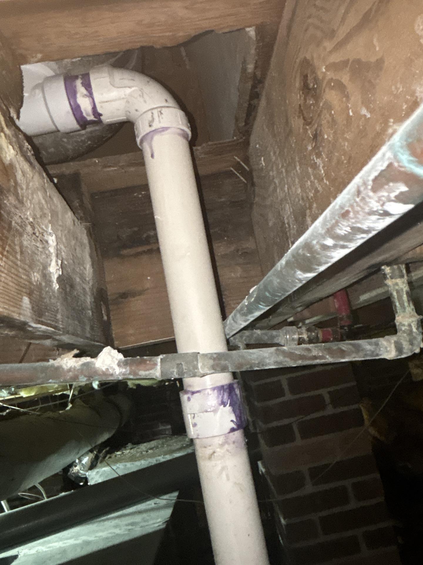 Mold in Crawlspace in Eastover, SC