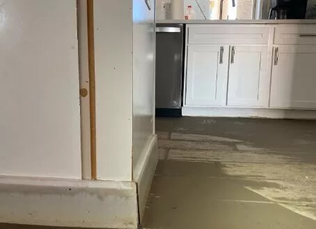 Water Damage Recovery
