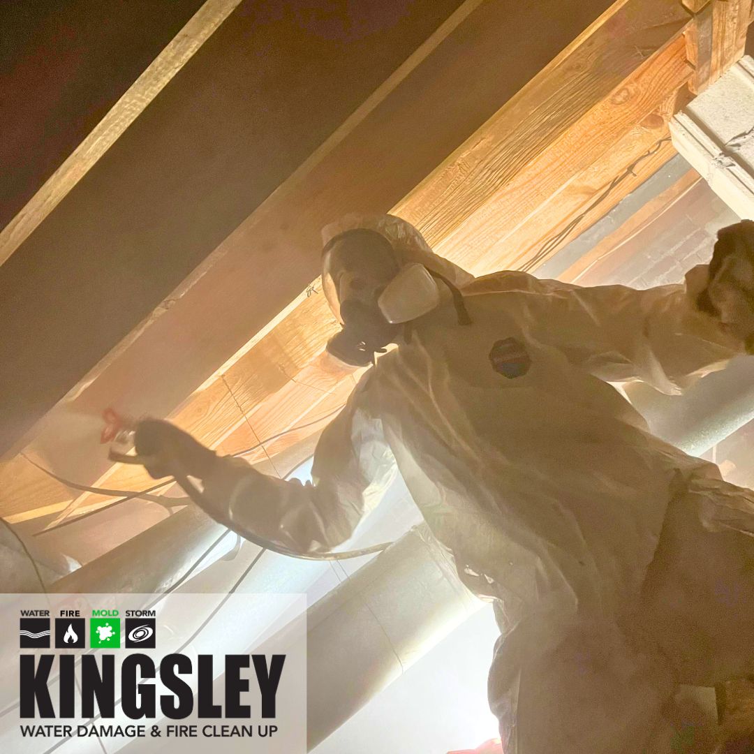 Crawl Space Mold Remediation
