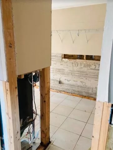 Expert Mold Prevention Services