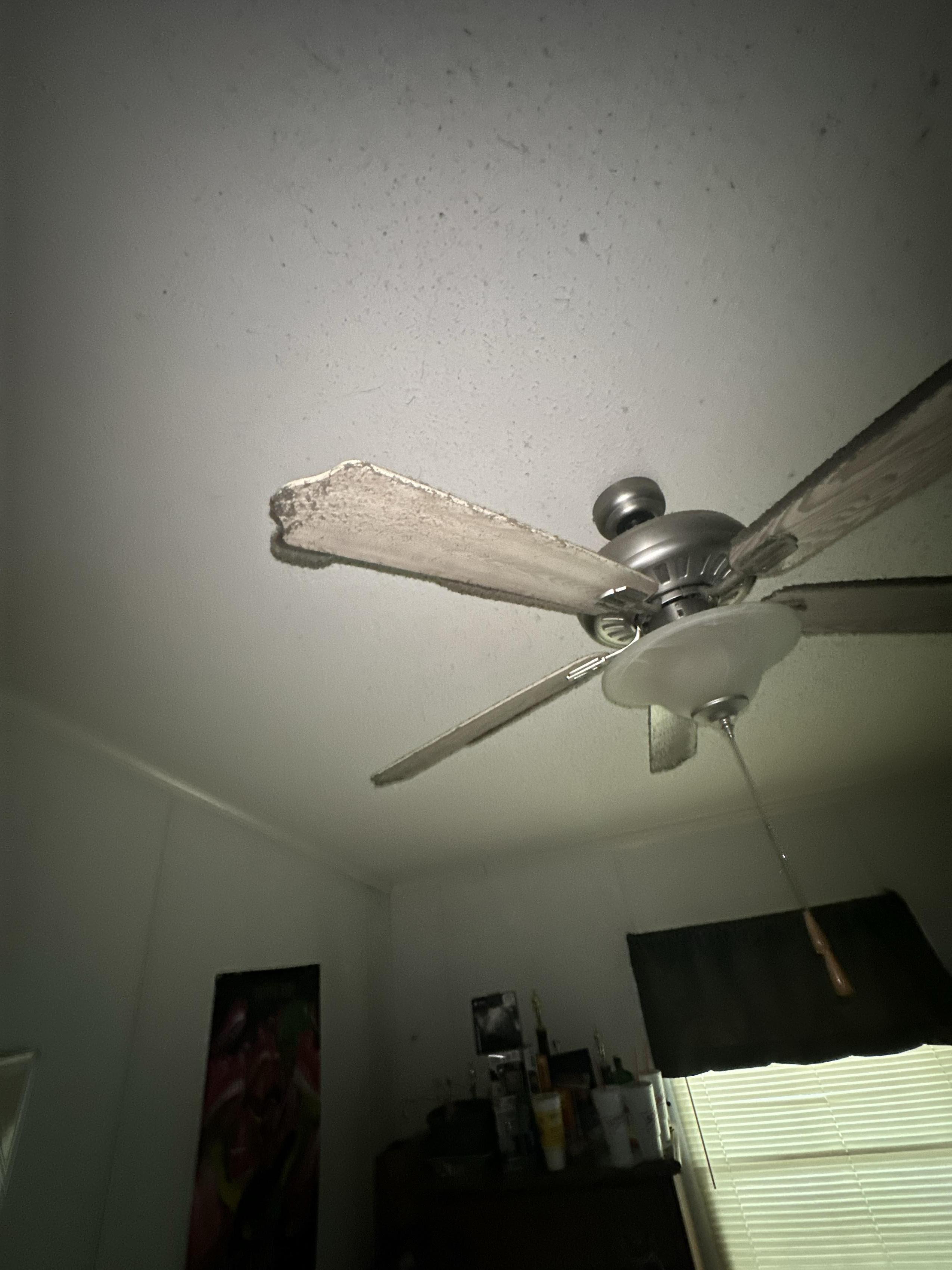 Mold Job in Batesburg