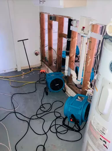 Mold Removal Pontiac