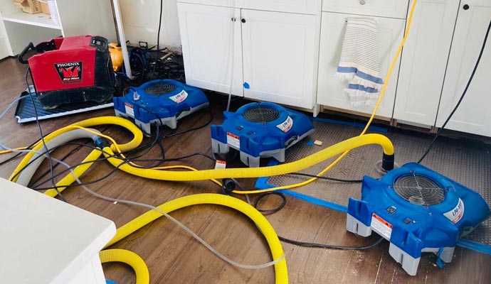 A professional setup in a kitchen featuring a Phoenix
          dehumidifier and multiple blue air movers with yellow hoses directed
          under cabinets for water damage drying